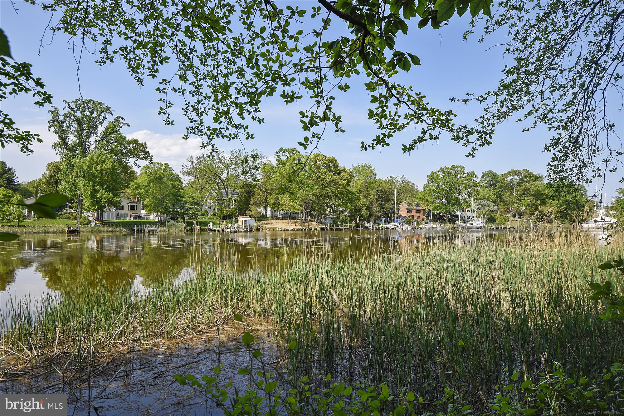 GEORGETOWN GROVE - Residential