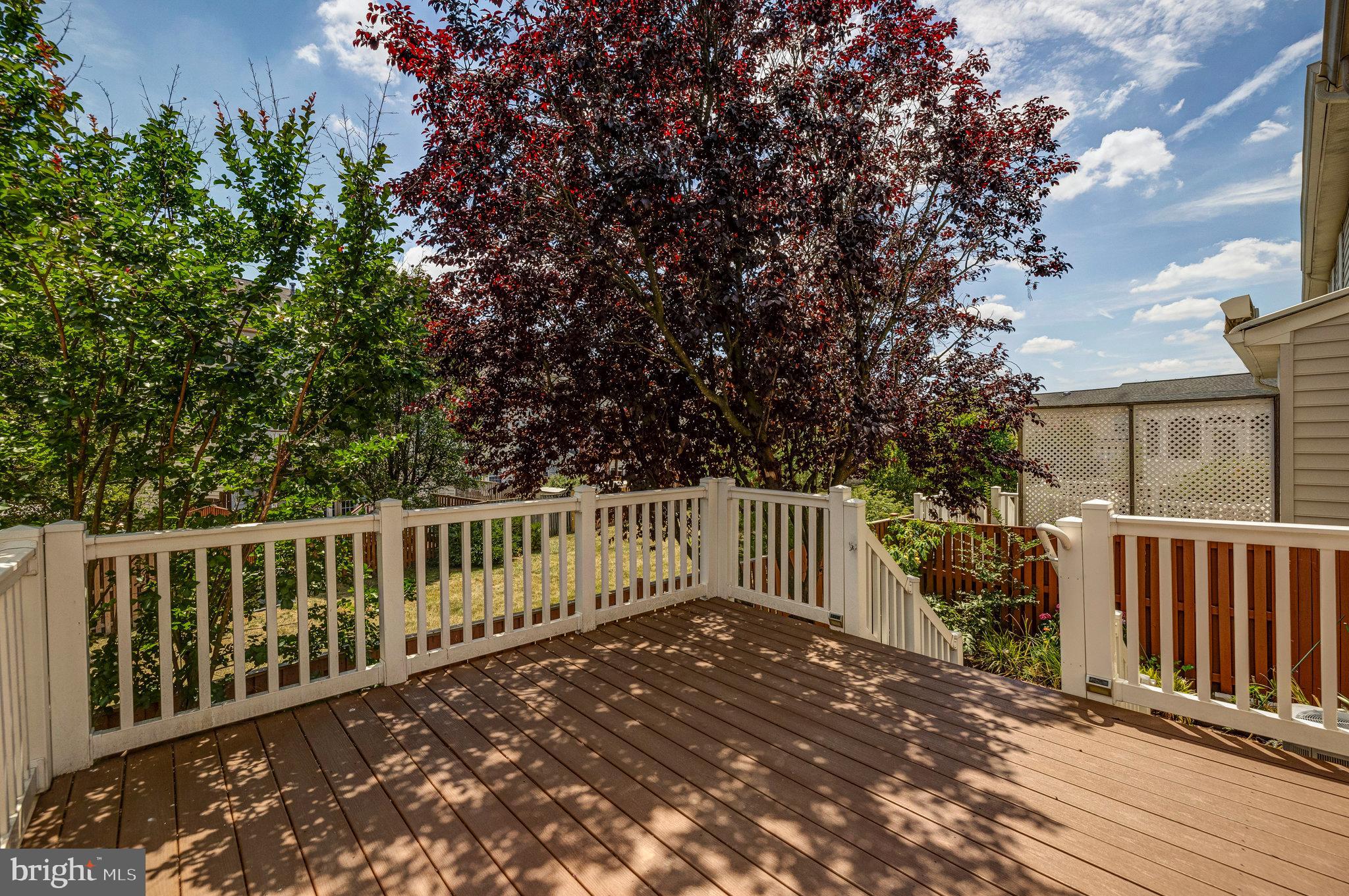 ASHBURN VILLAGE - Residential