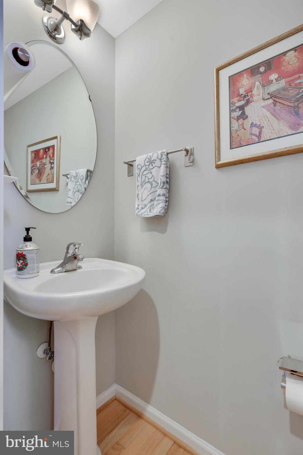 ASHBURN VILLAGE - Residential