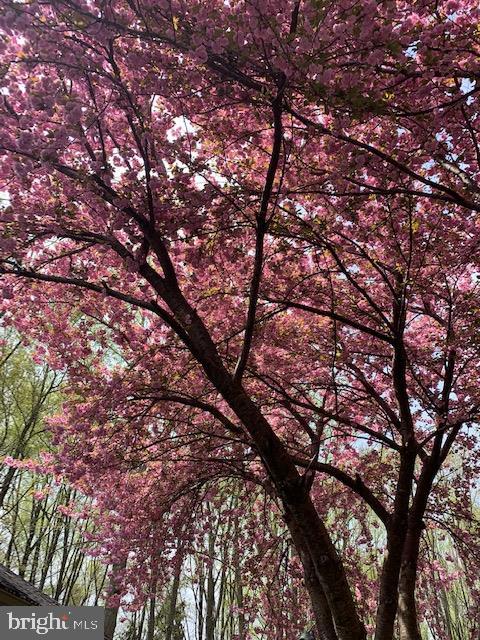 HIGHLAND - Residential