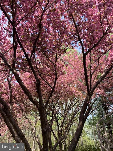 HIGHLAND - Residential