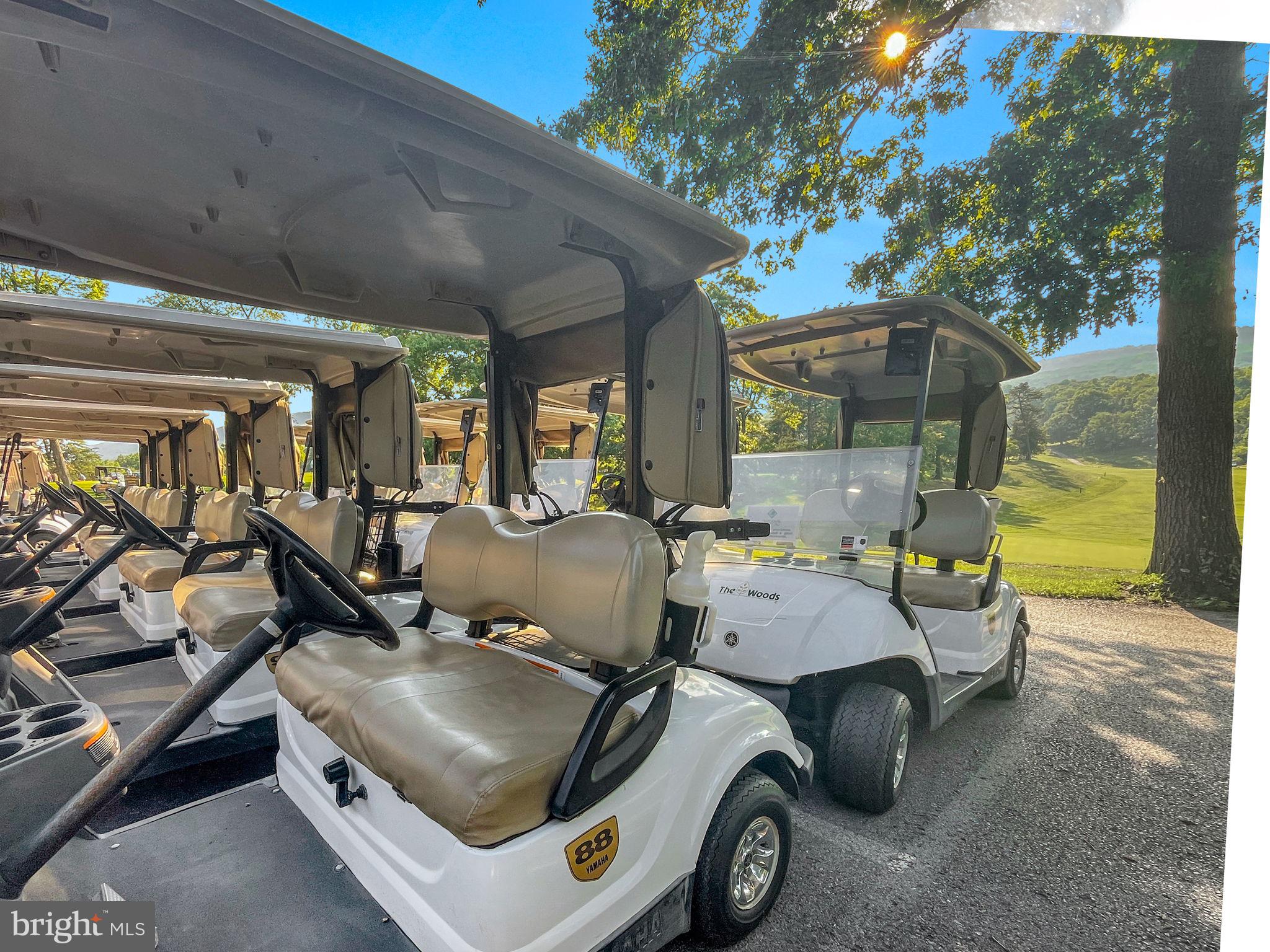 THE WOODS - Residential