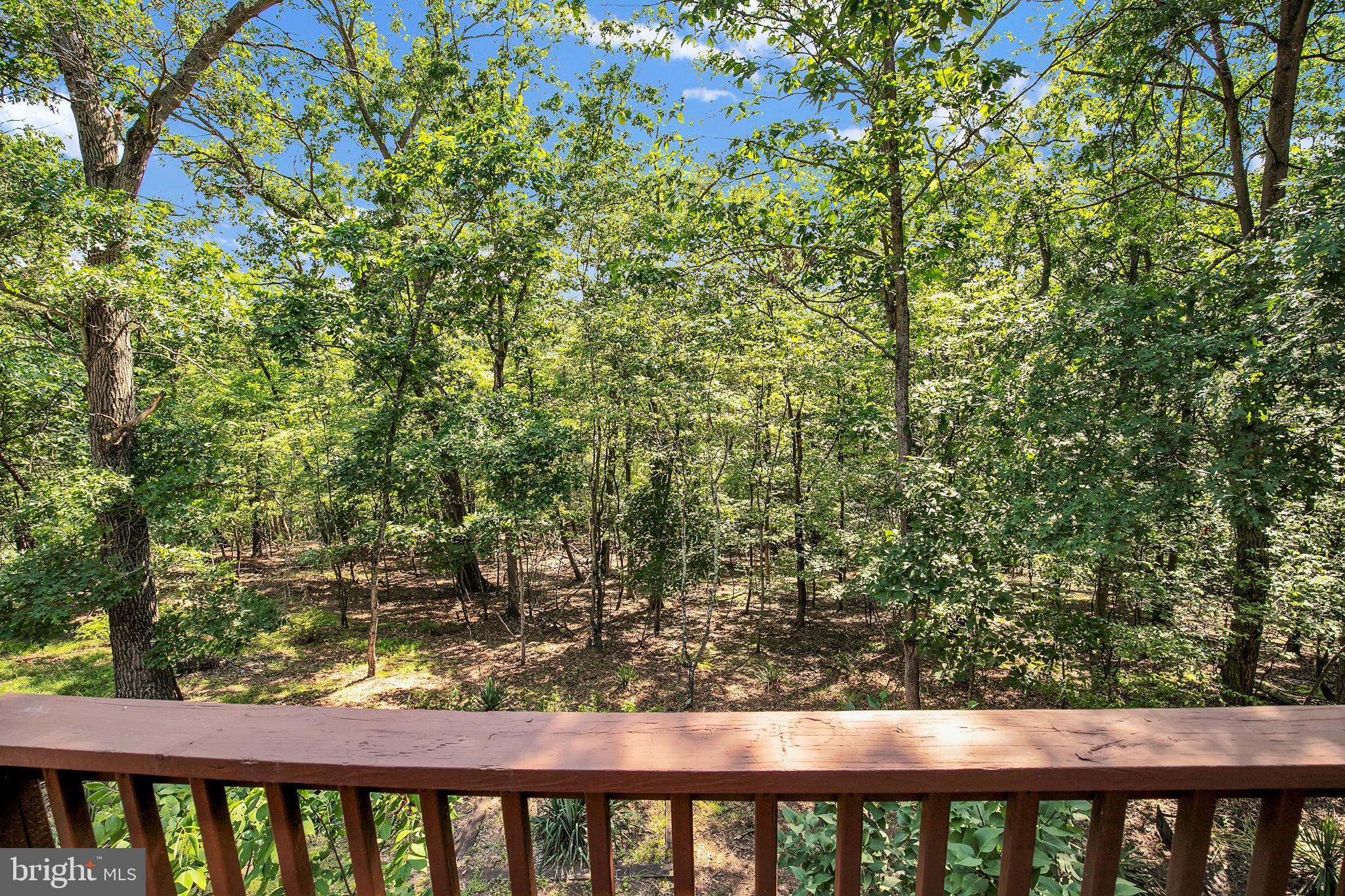 THE WOODS - Residential