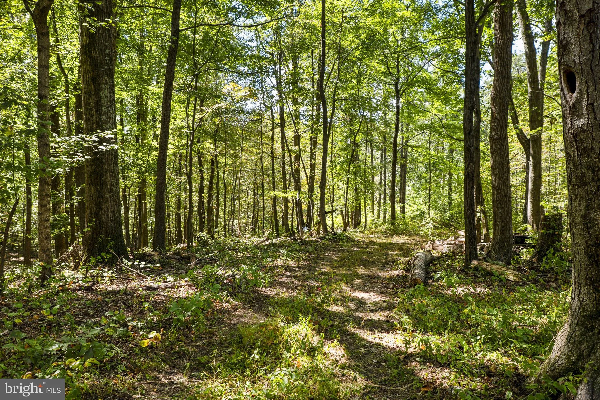 Boyds, Maryland 20841, United States, 4 Bedrooms Bedrooms, ,4 BathroomsBathrooms,Residential,Active,193015