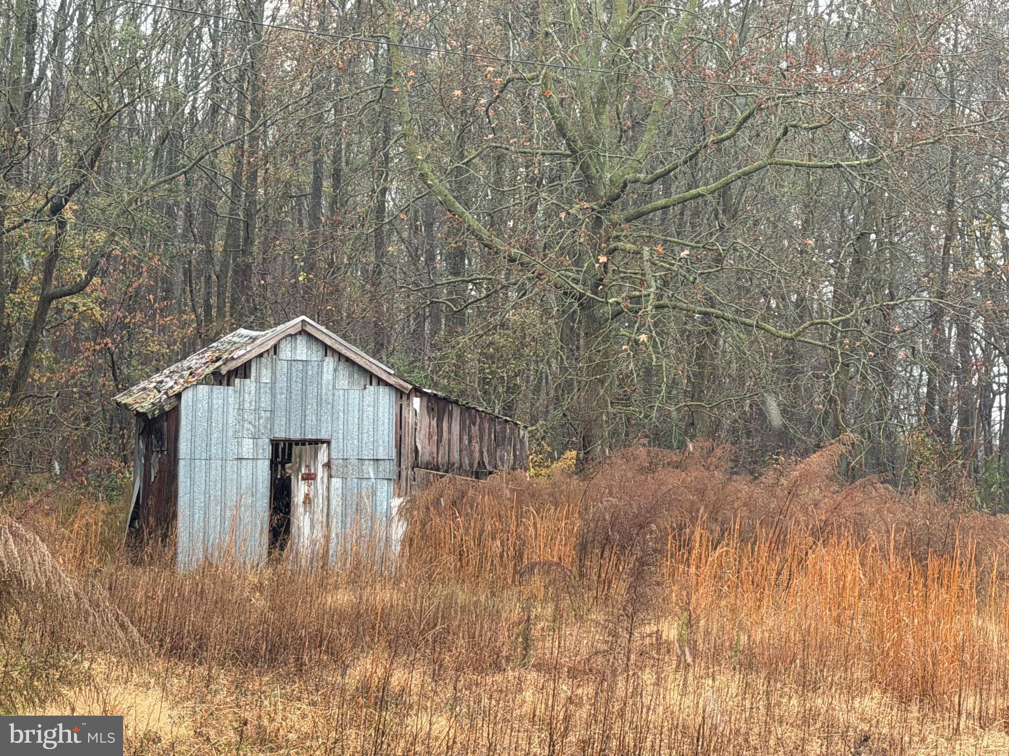 36288 PEAR TREE ROAD