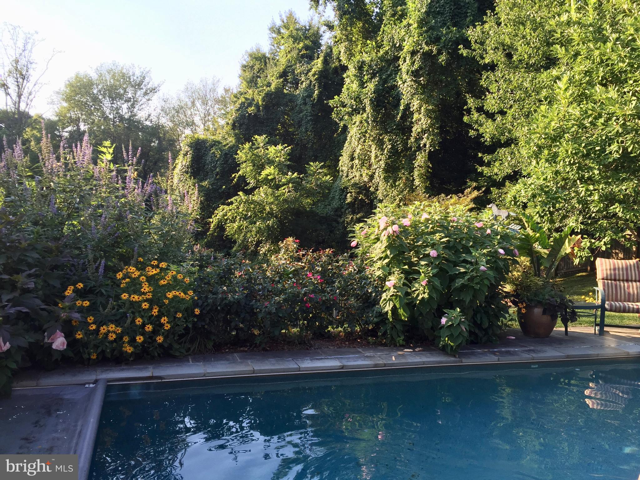 VELVET HILLS SOUTH - Residential