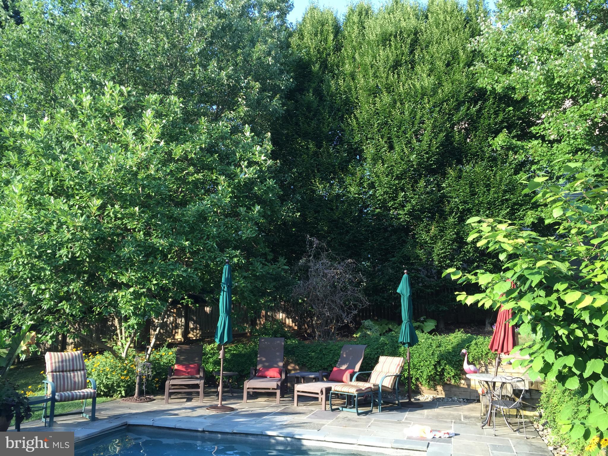 VELVET HILLS SOUTH - Residential