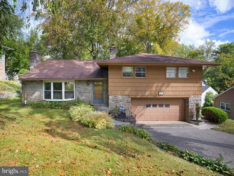 123 OLD FOREST ROAD WYNNEWOOD PA 19096