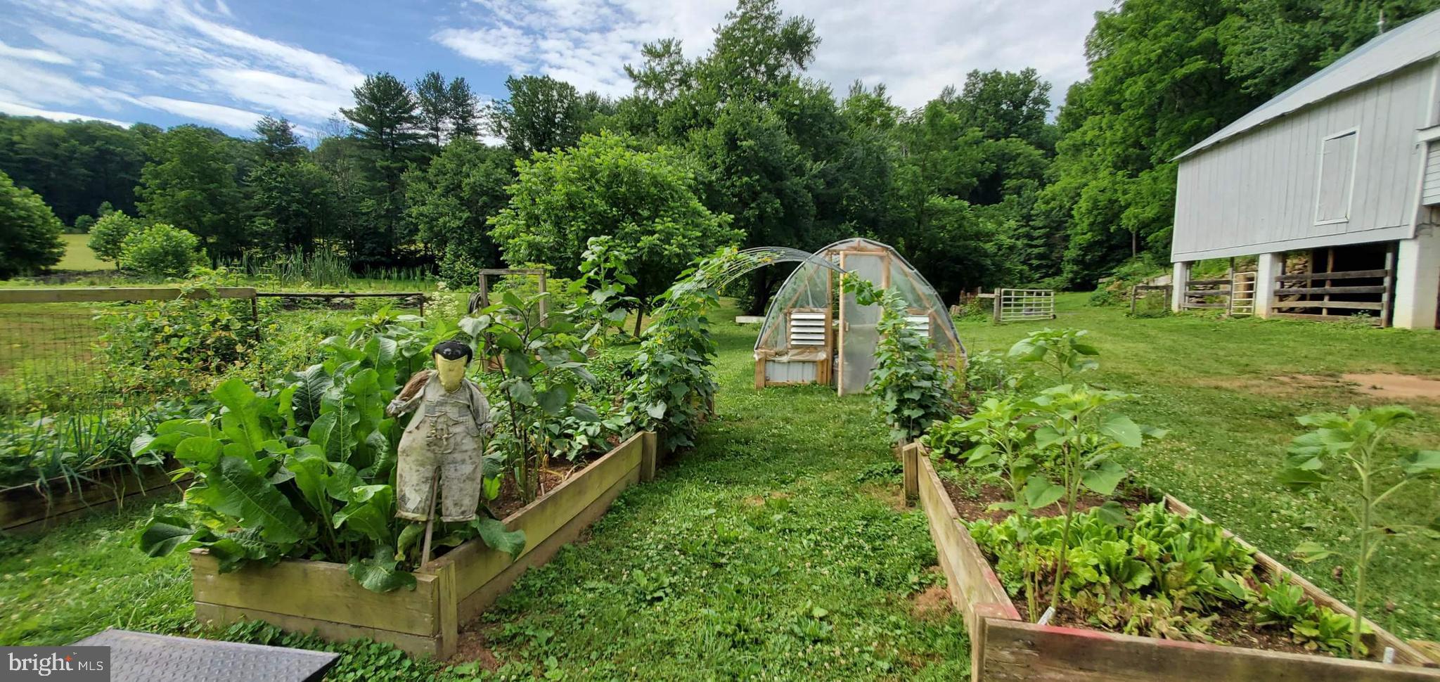 NONE AVAILABLE - Farm