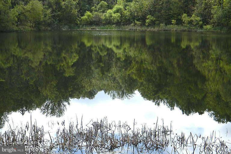 SHEN FARMS MT LAKE - Residential Lease