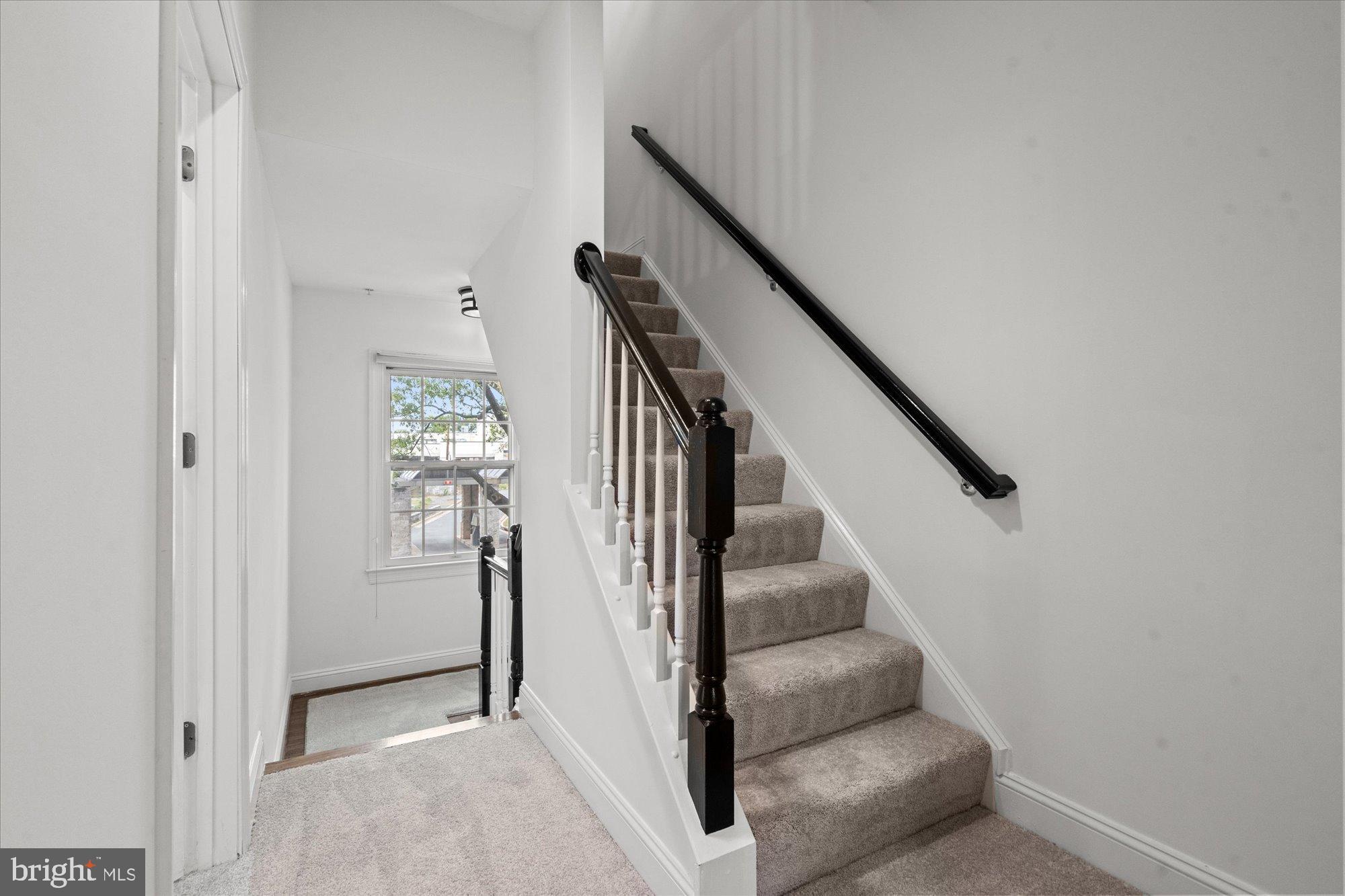 COURTHOUSE TRIANGLE - Residential Lease