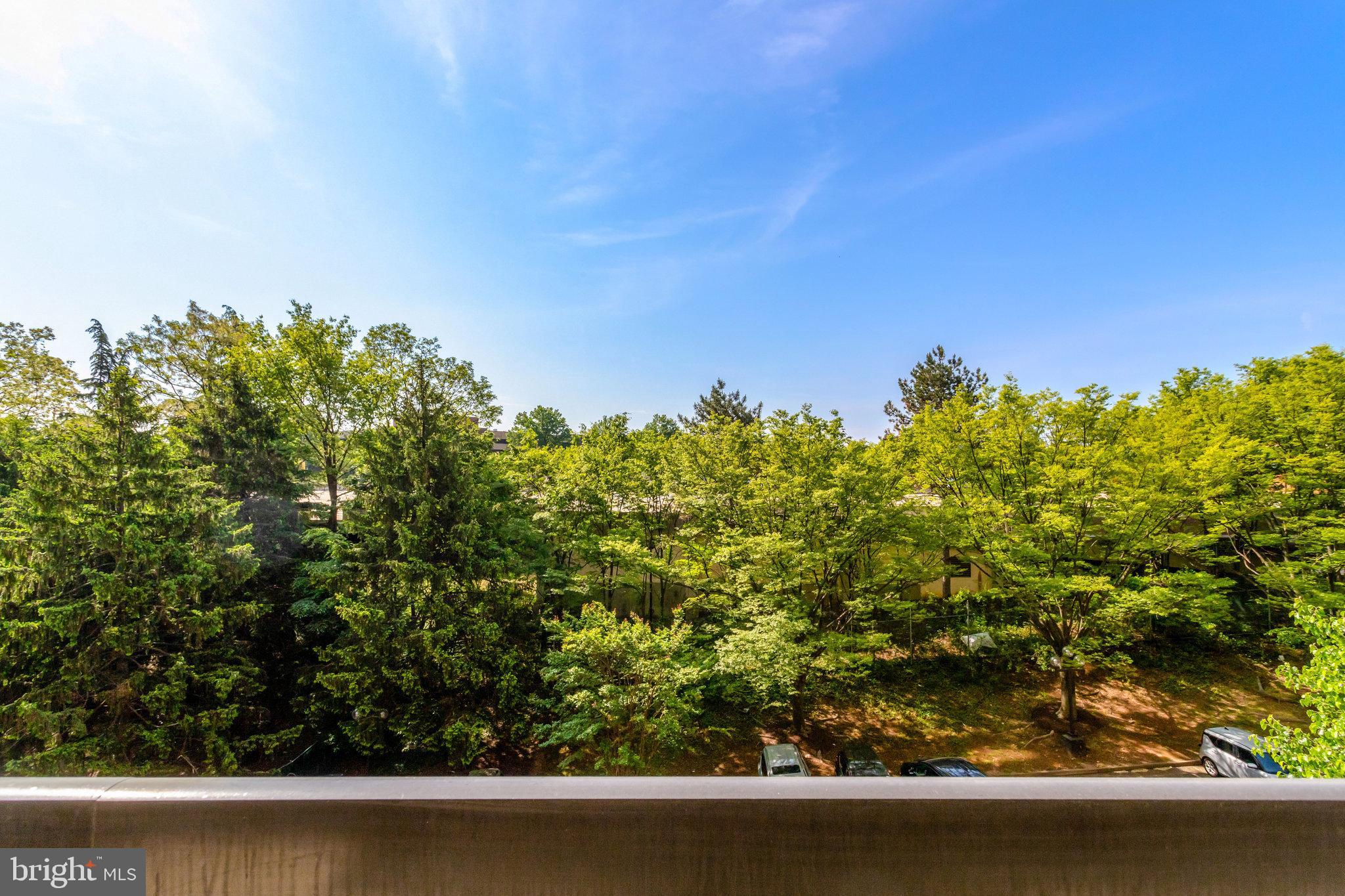 SKYLINE HOUSE - Residential Lease