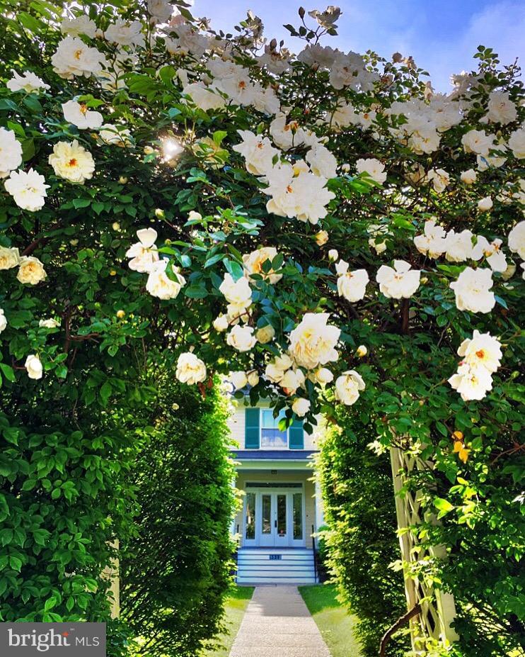 ROLAND PARK - Residential