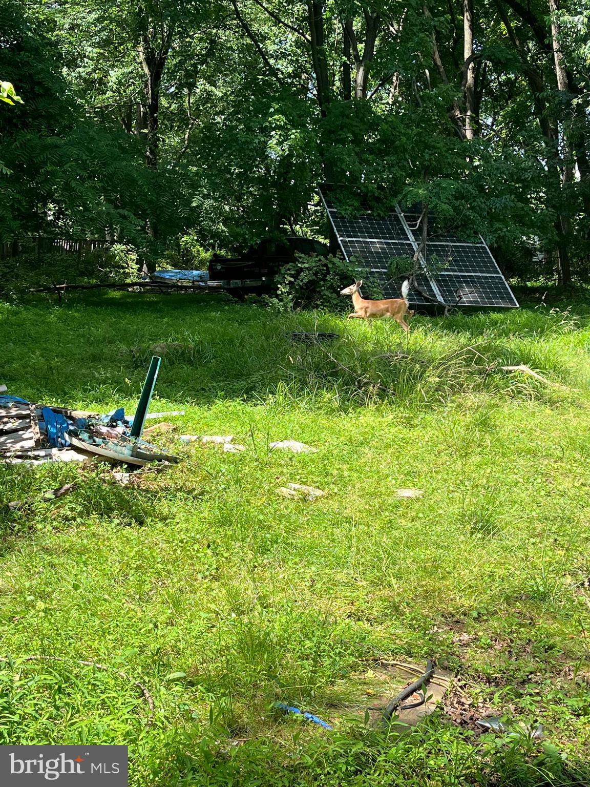 WASHINGTON GROVE - Land