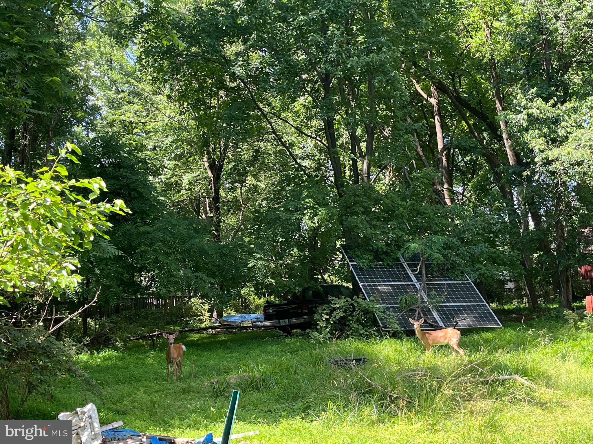 WASHINGTON GROVE - Land