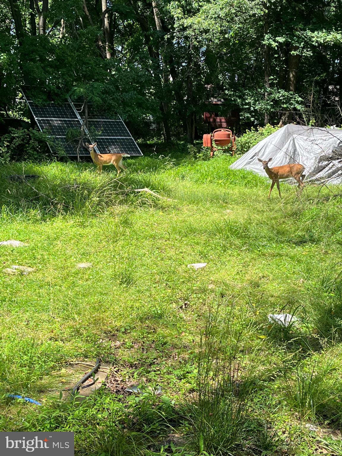 WASHINGTON GROVE - Land