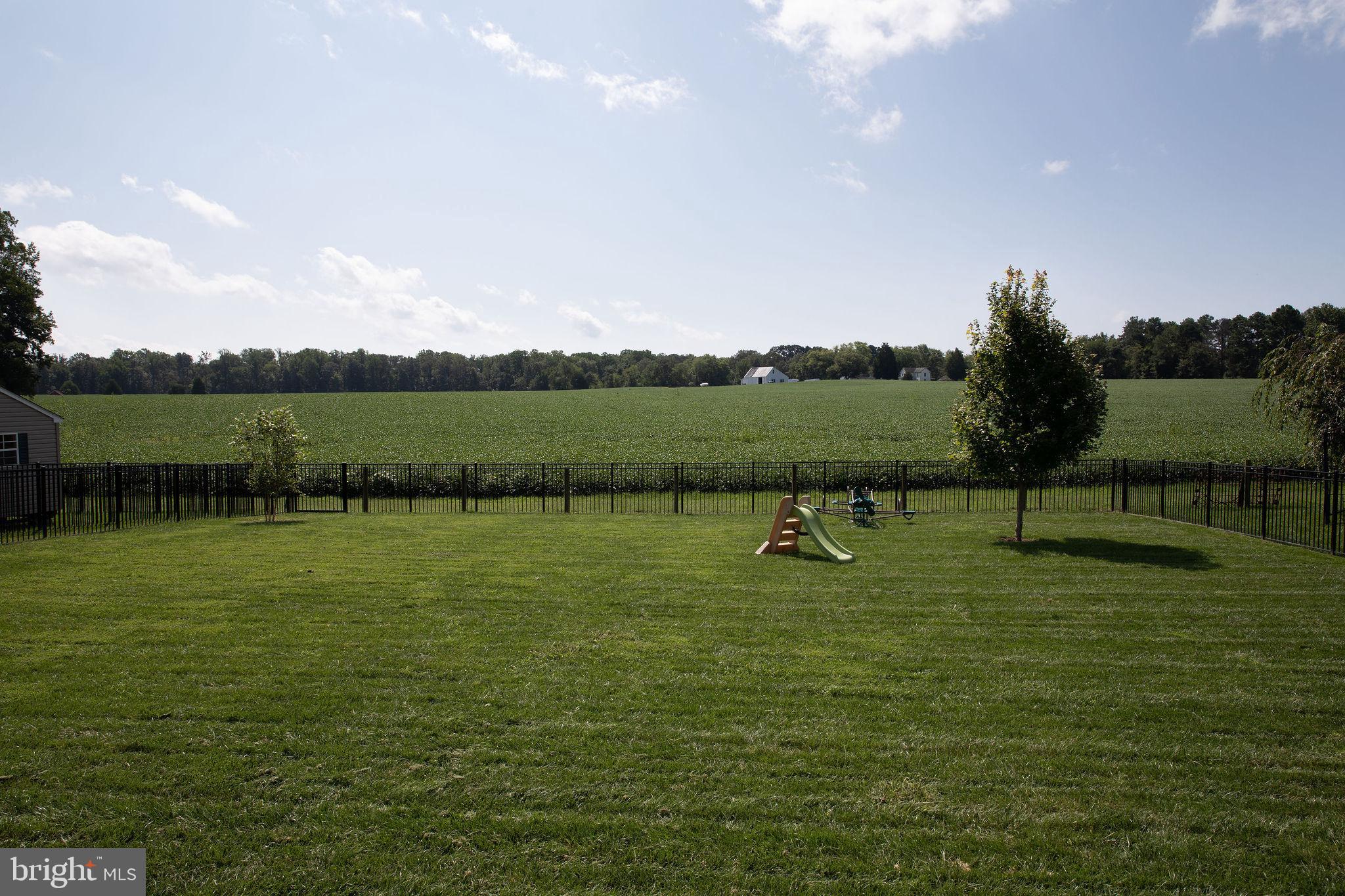 ESTATES AT JOY CHAPEL - Residential