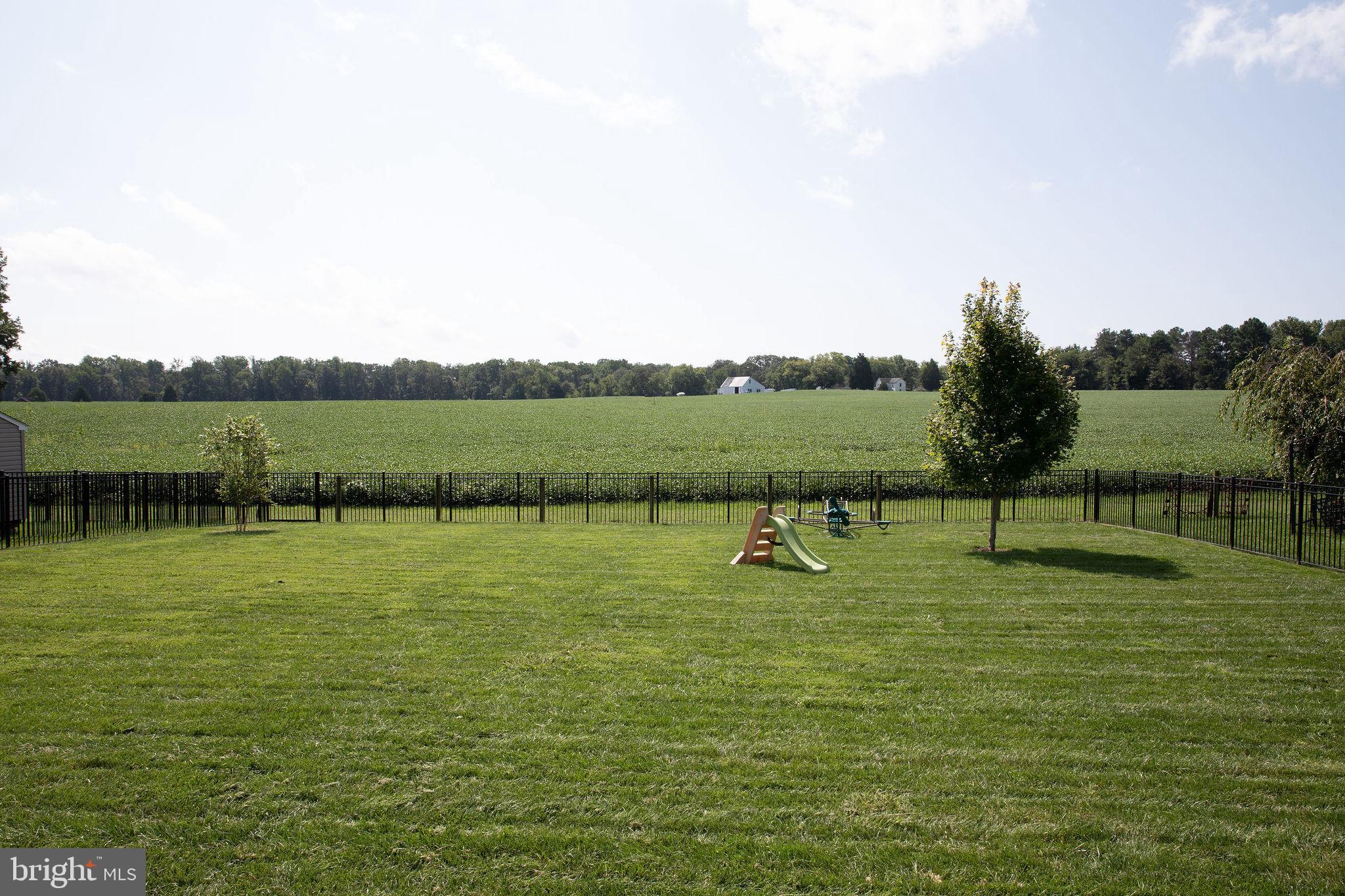 ESTATES AT JOY CHAPEL - Residential