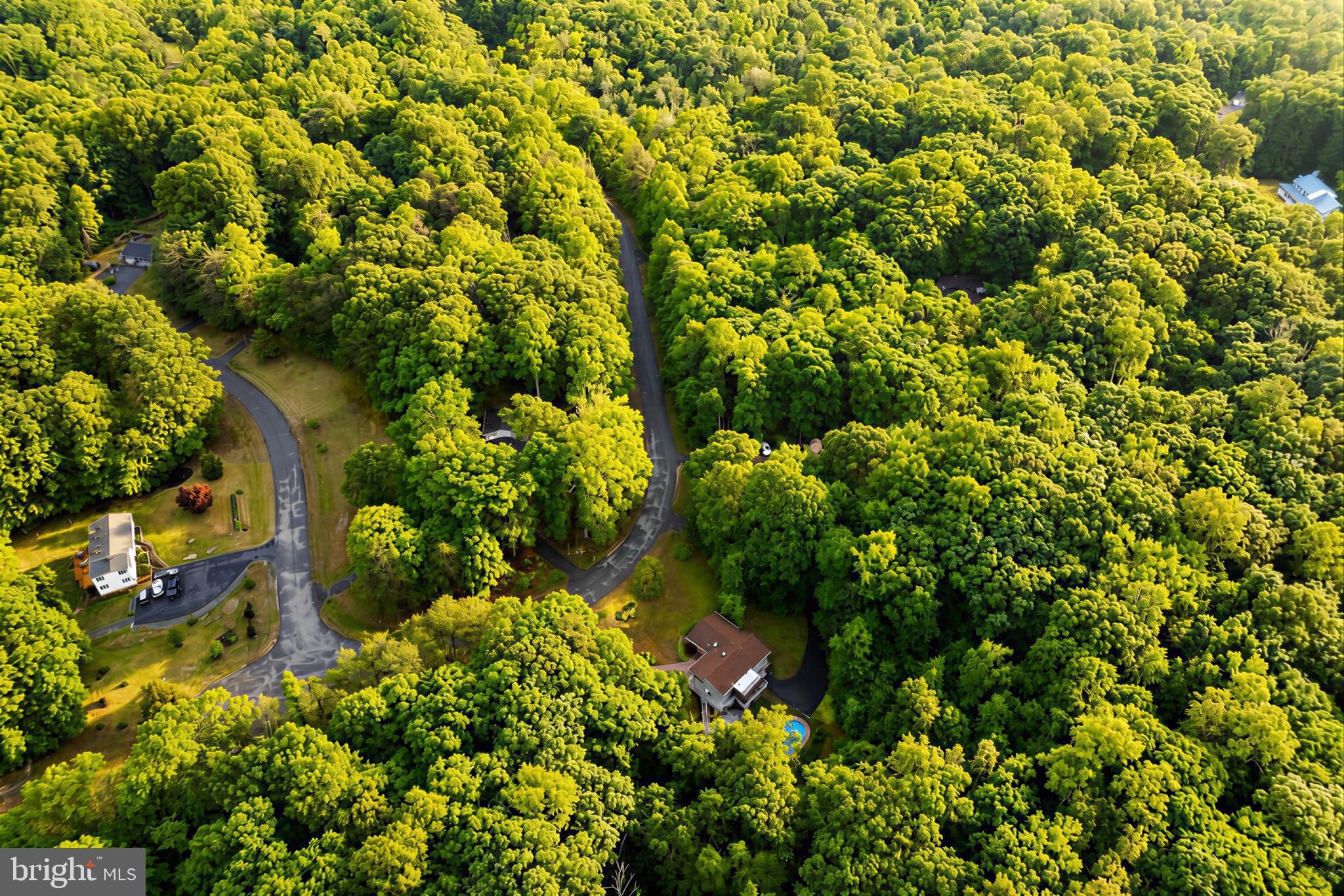 LAND O LAKES - Residential