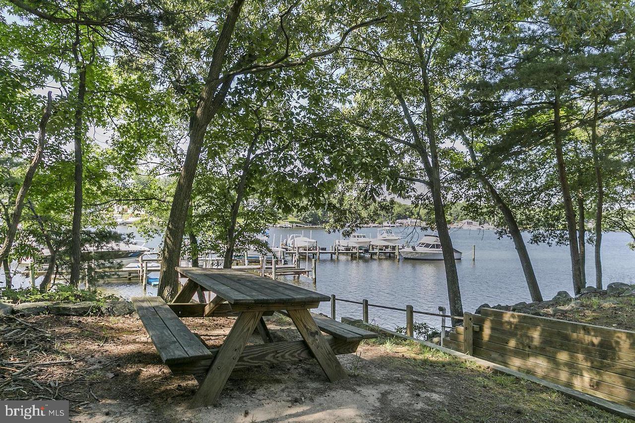 CHESTNUT HILL COVE - Residential Lease