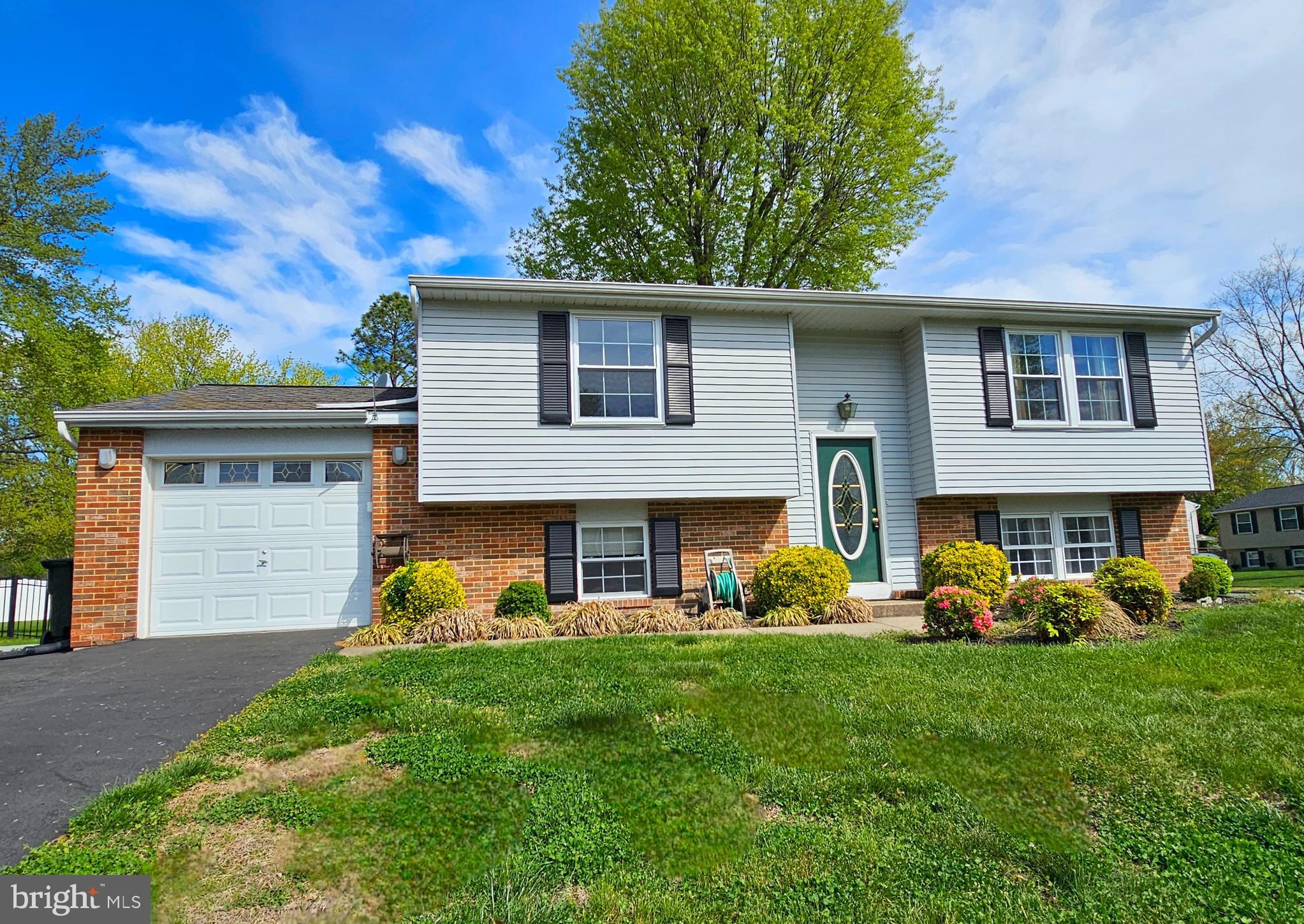 7907 STEADMAN STREET