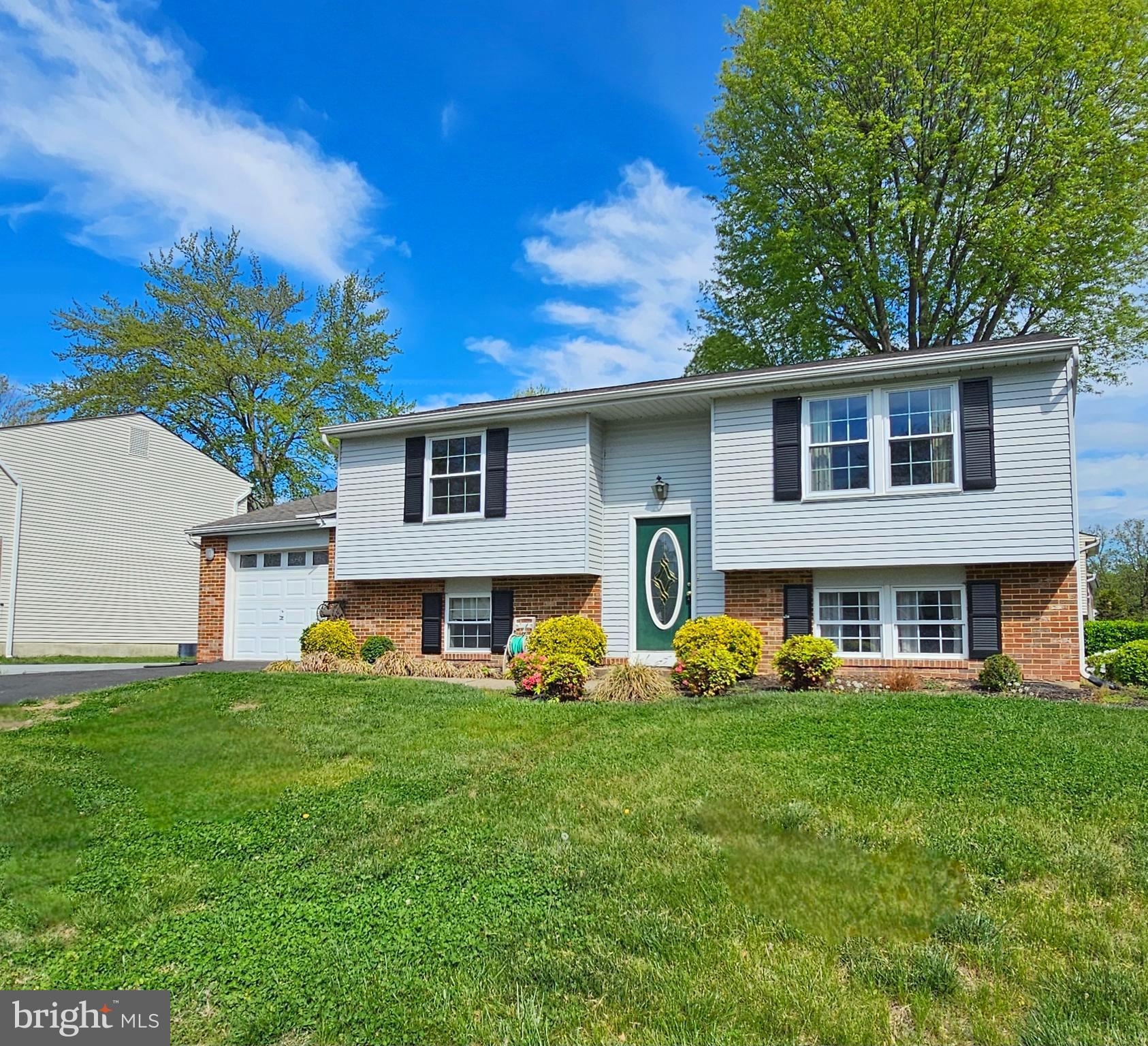 7907 STEADMAN STREET