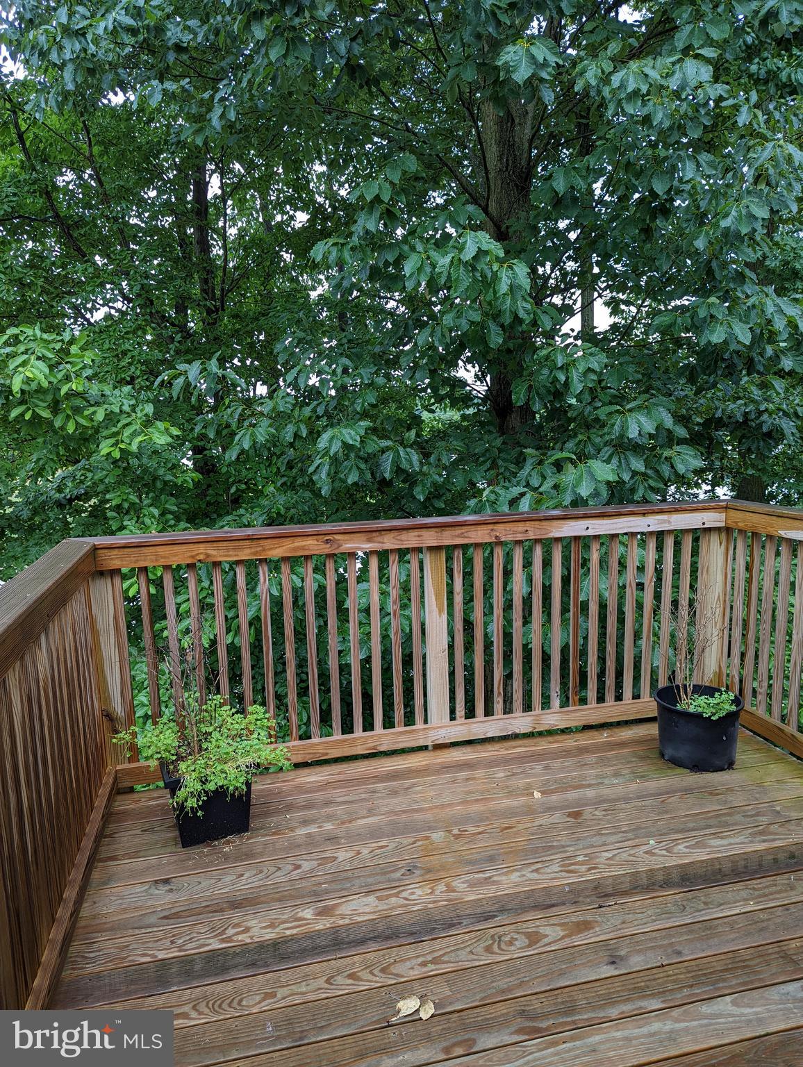 WINDSWEPT - Residential Lease