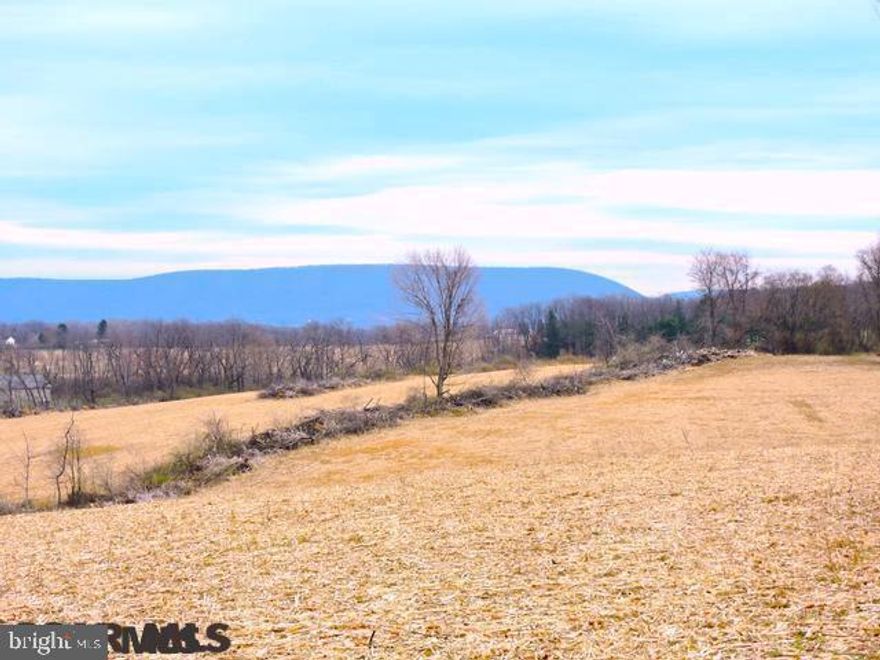 Amazing development opportunity.127.83 acre property in SCASD, zoned Planned Airport District. Non-residential & mixed use portions have access to public water, natural gas, and sewer. Three points of egress allow for several phases of development. Spectacular views of Mt. Nittany and Purdue Mountain. Bordering Nittany Valley Sport Complex, State Game Lands, and Timberton Residential Development. Allowable uses include, attached or detached condos, single family estate sized homes, hotel, restaurant, retail/office, small business. With the sports center to the east, a popular upscale residential development to the north & state game lands to the west, this property offers significant developmental opportunities close to State College & Penn State. Follow potential zoning updates with Patton Township.