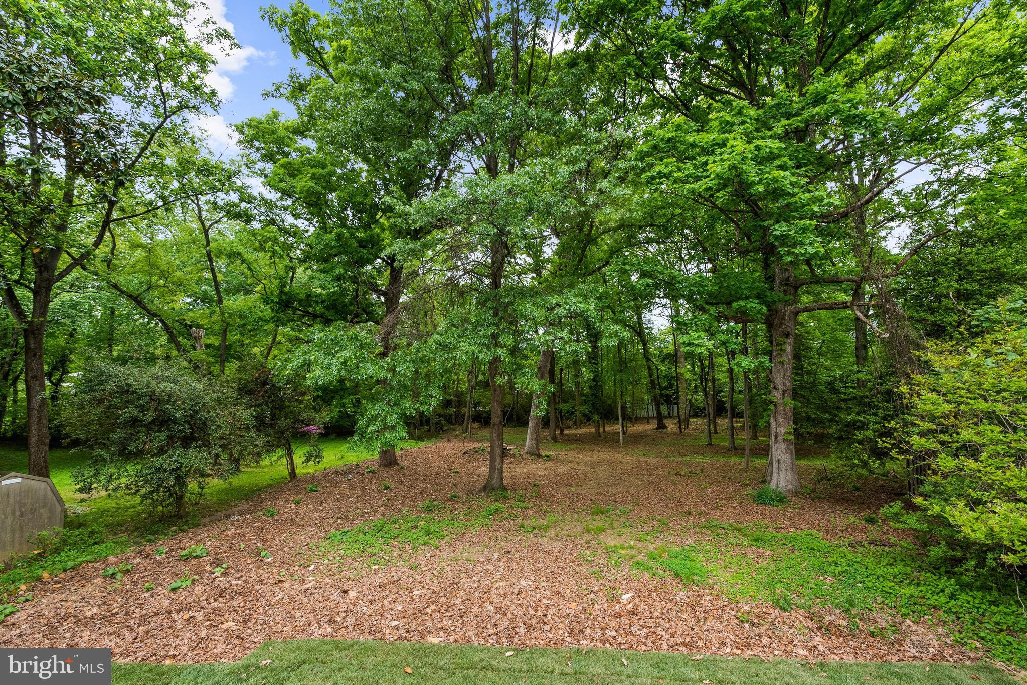 FRANKLIN PARK - Residential