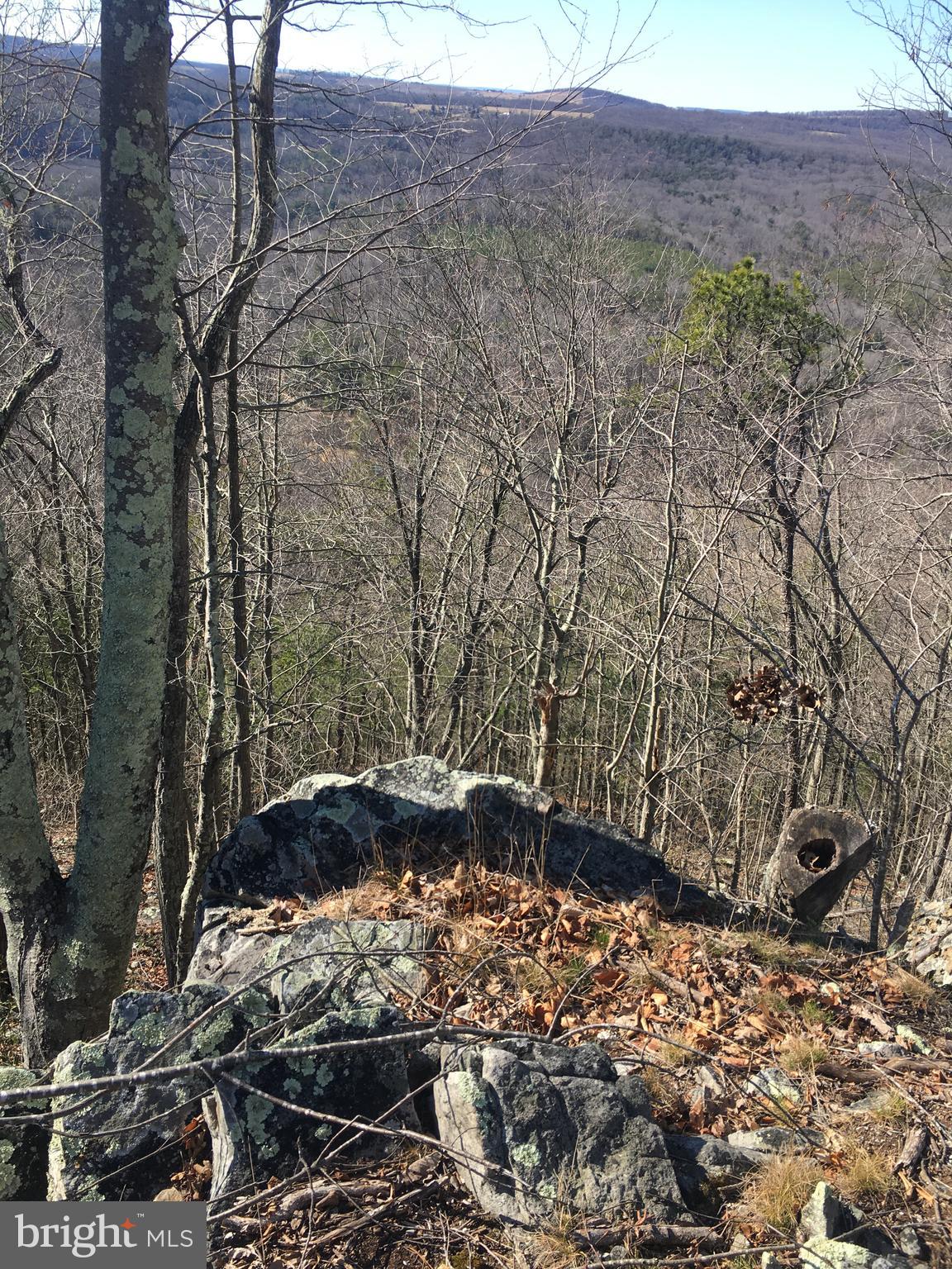 NORTH RIVER MILL - Land