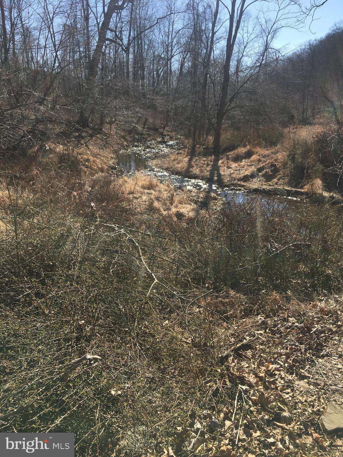 NORTH RIVER MILL - Land