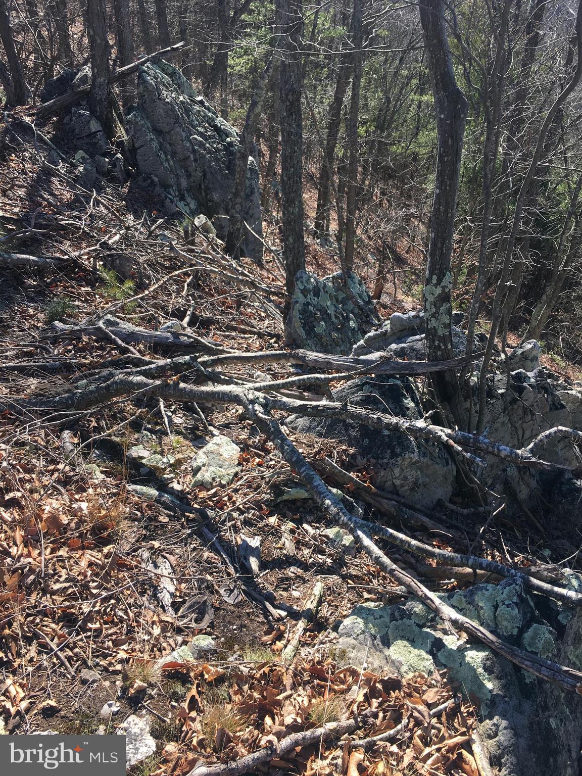 NORTH RIVER MILL - Land