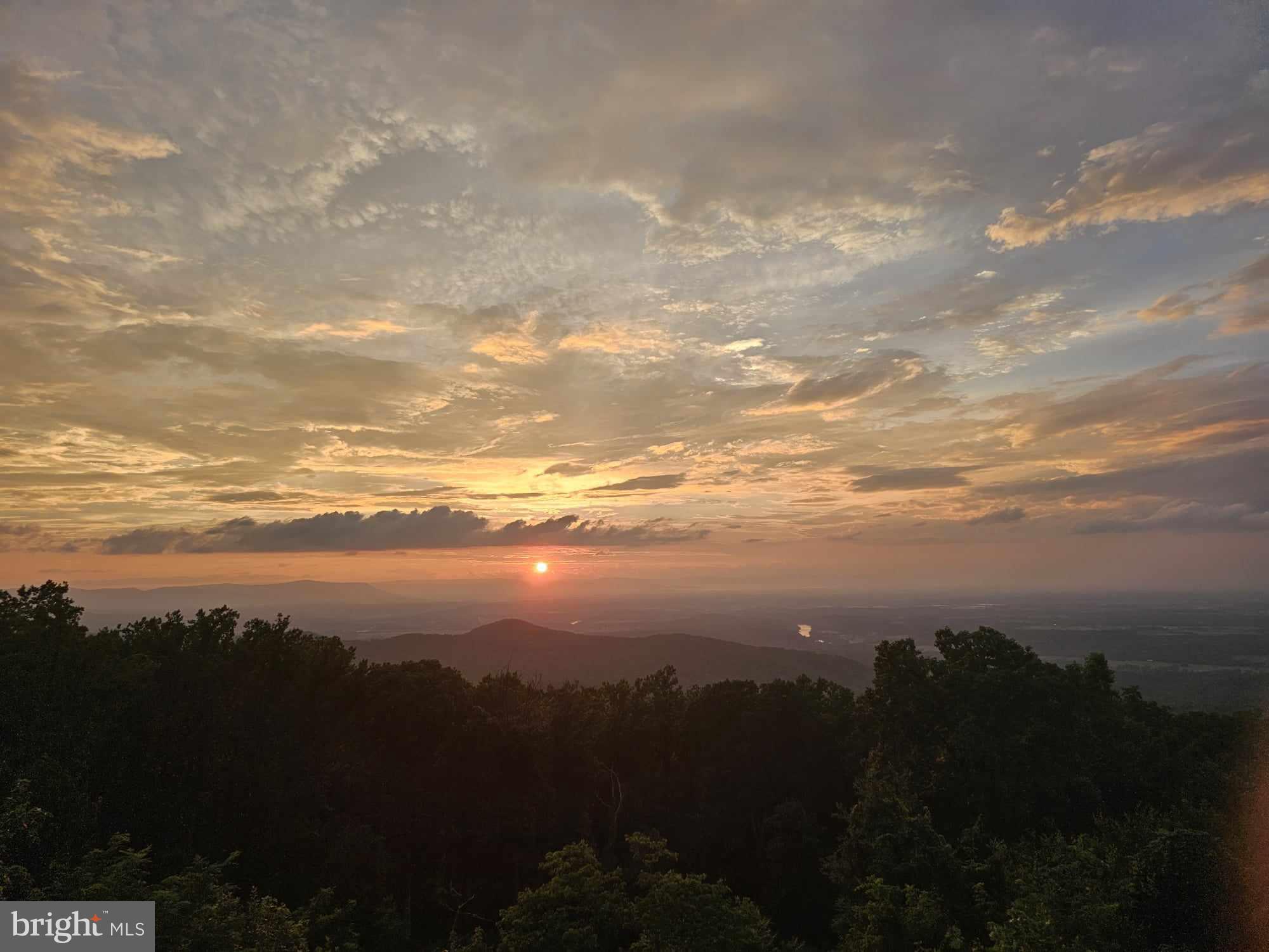 FREEZELAND MANOR - Residential