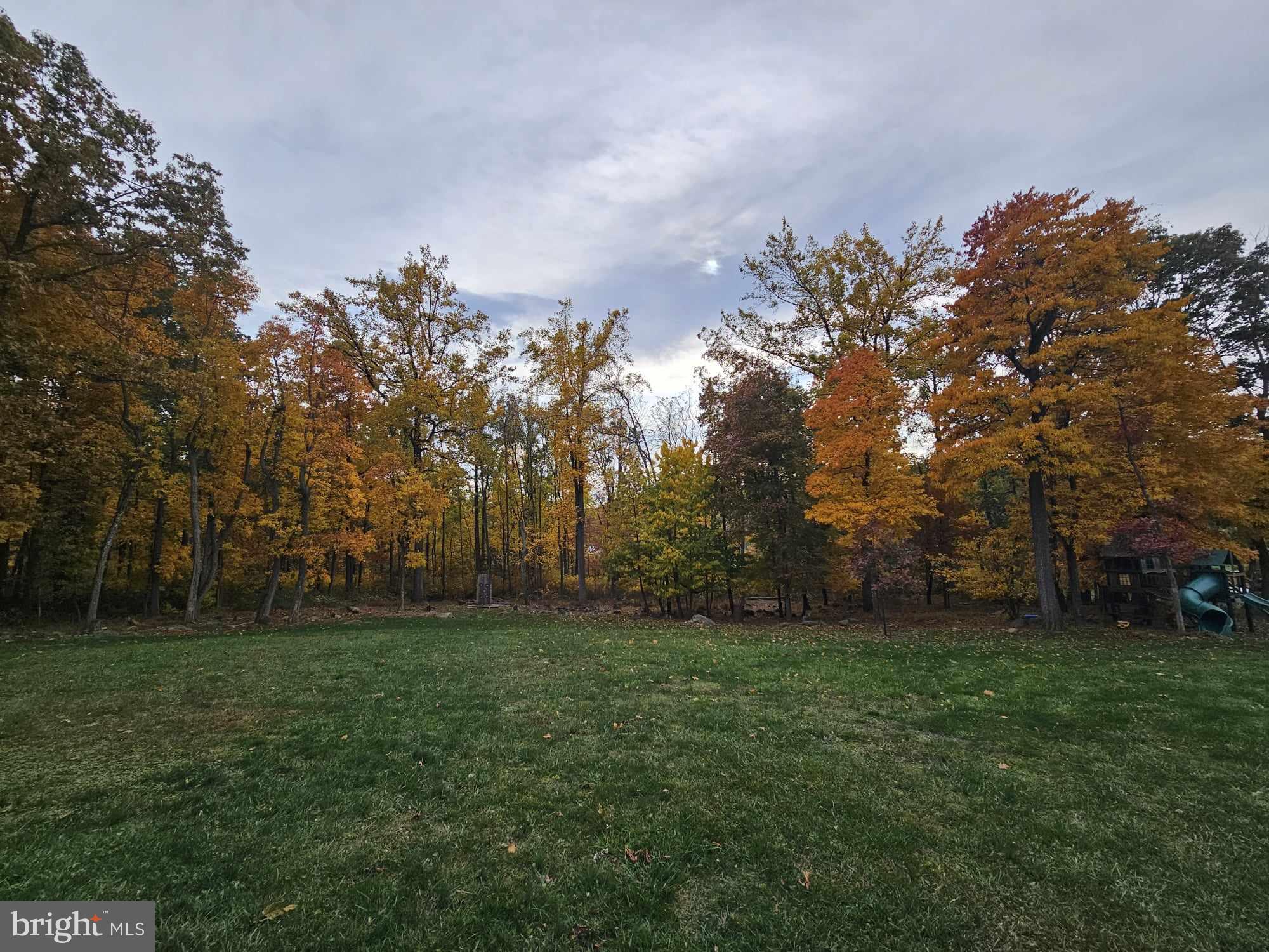 FREEZELAND MANOR - Residential