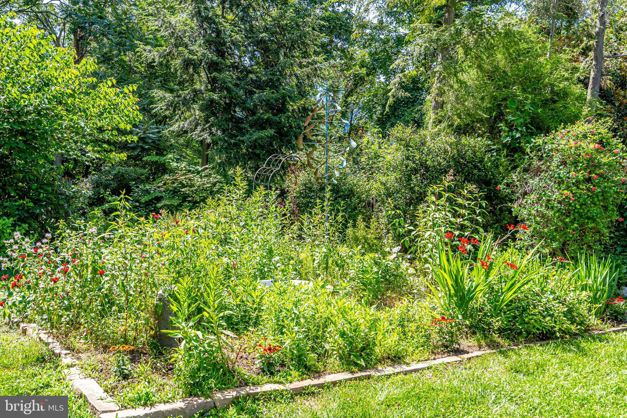 CHAPEL HILL - Residential