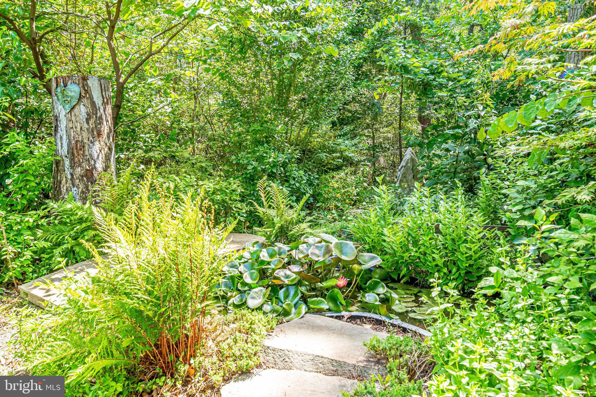 CHAPEL HILL - Residential