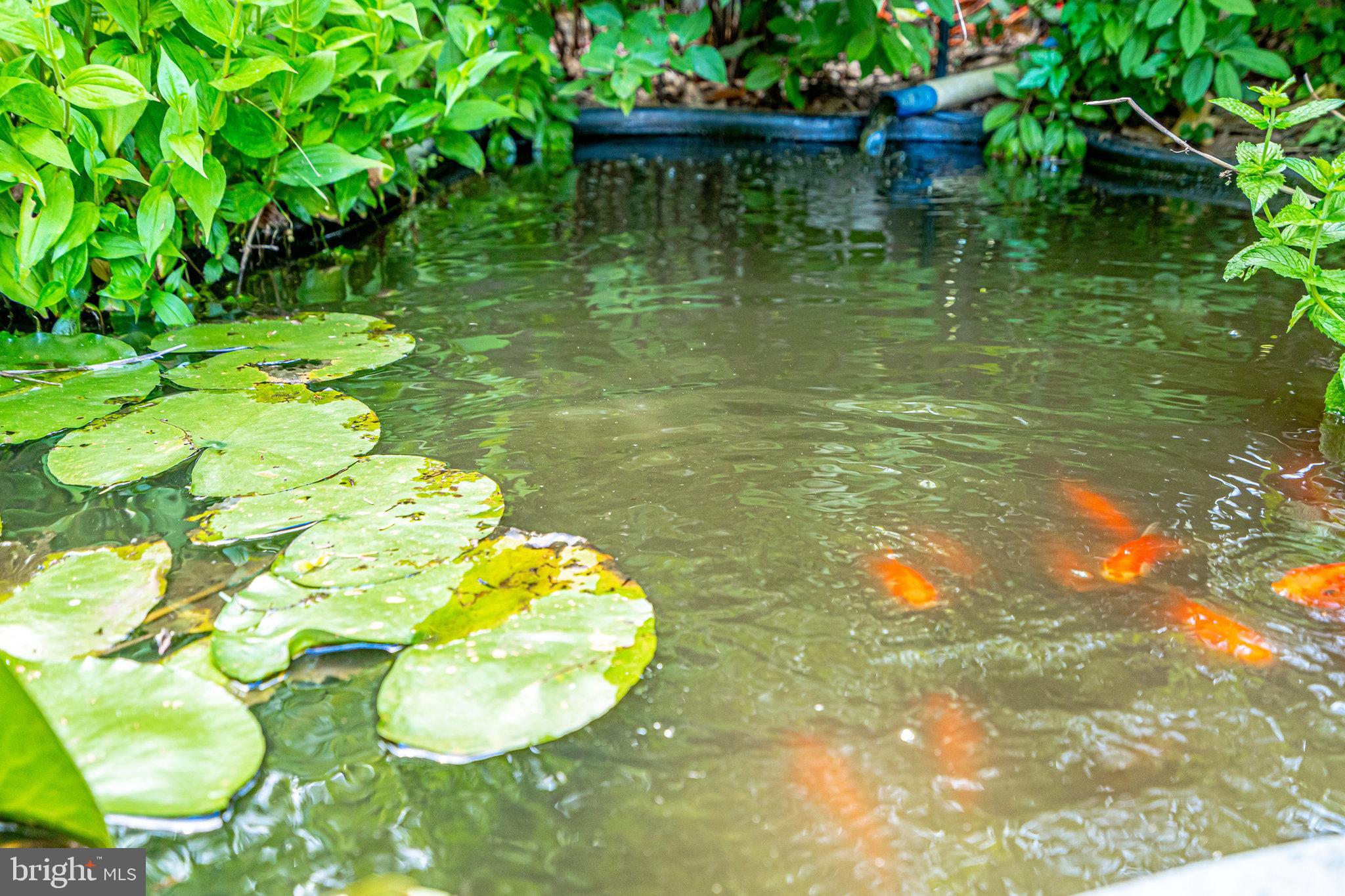 CHAPEL HILL - Residential