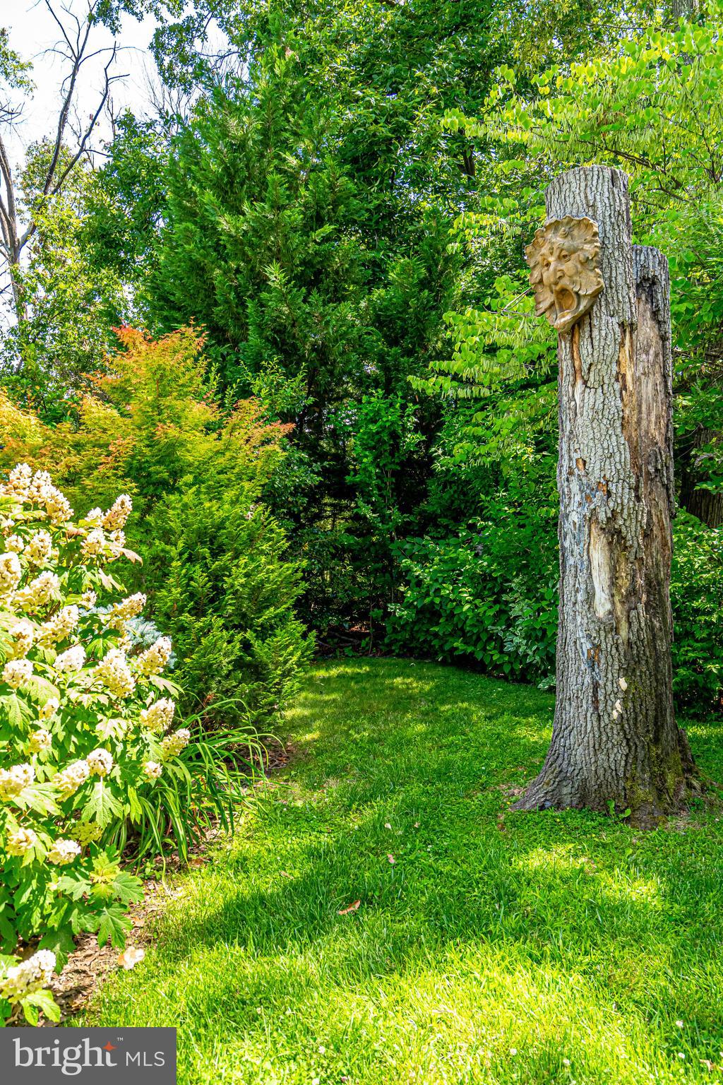 CHAPEL HILL - Residential