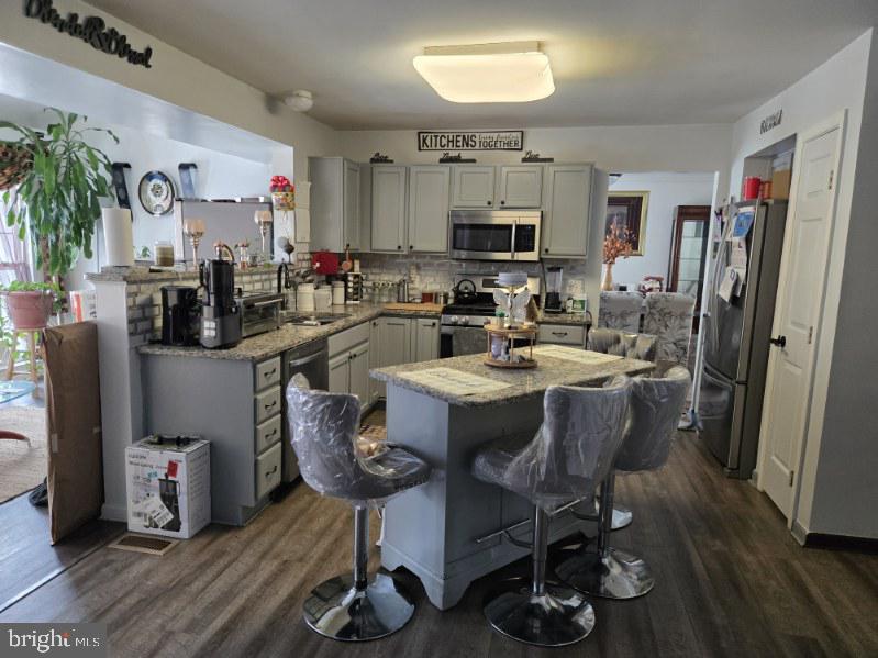 250 E BRAEBURN DRIVE