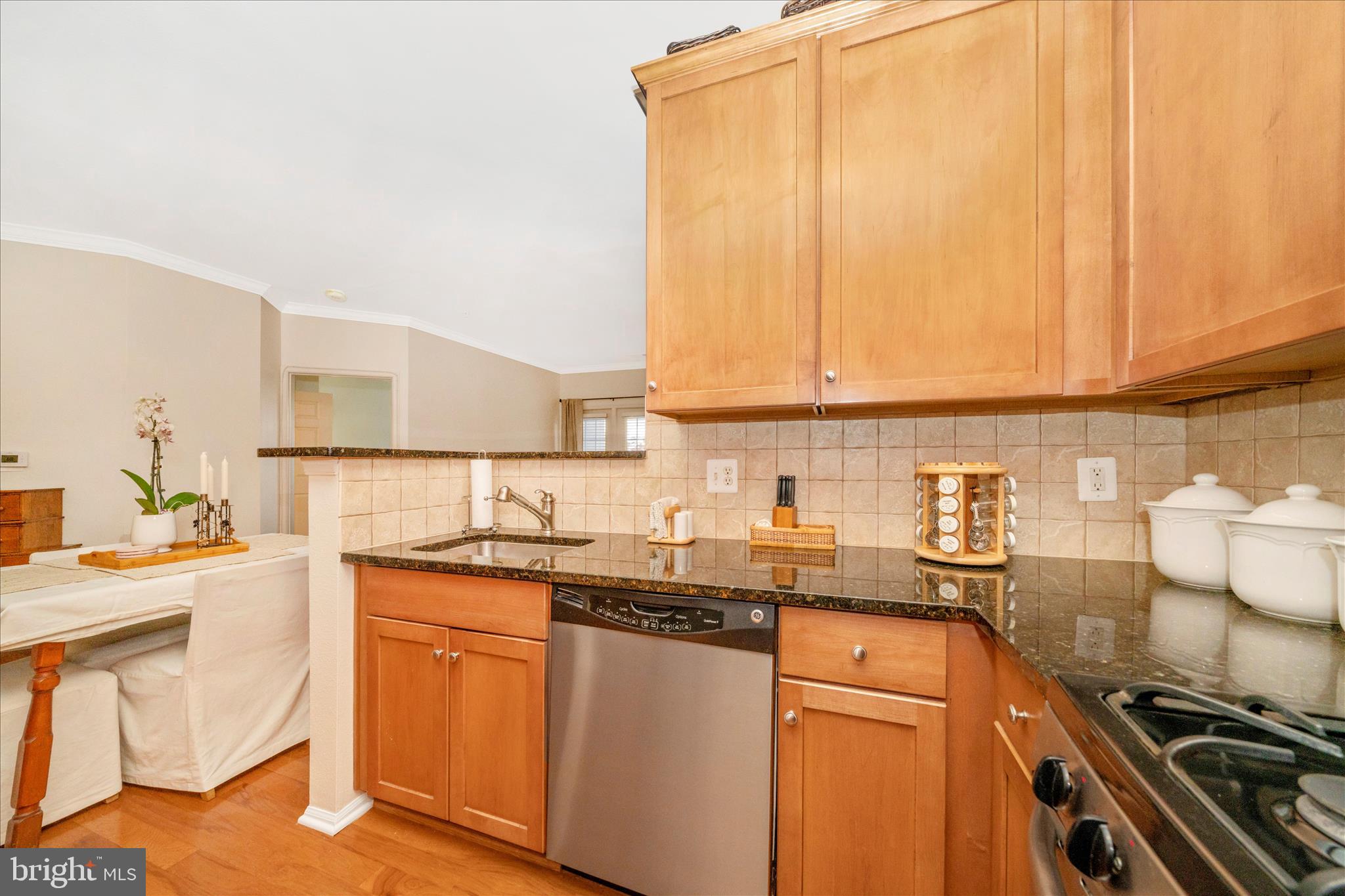 WHITE FLINT STATION - Residential