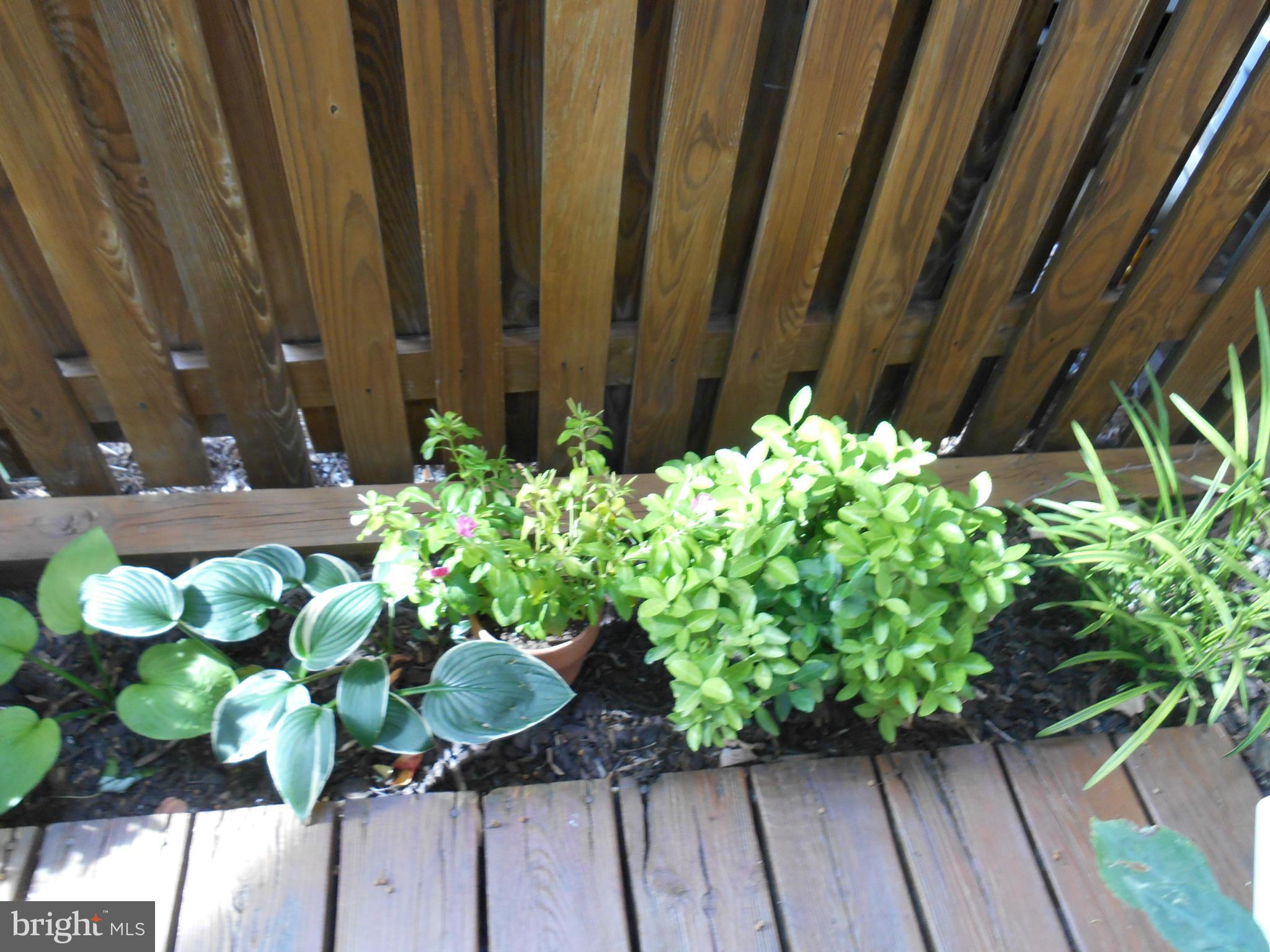 DEEPWOOD - Residential