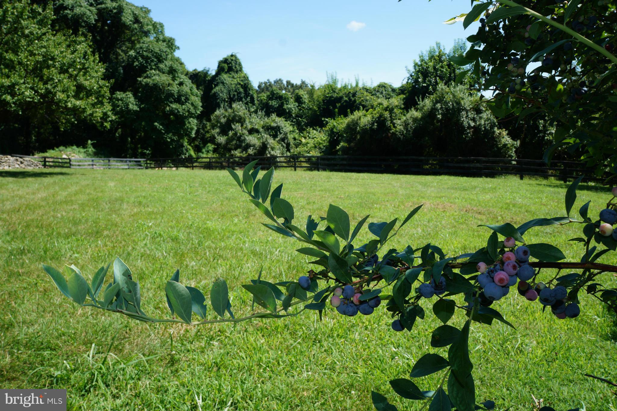 LONGVIEW - Residential