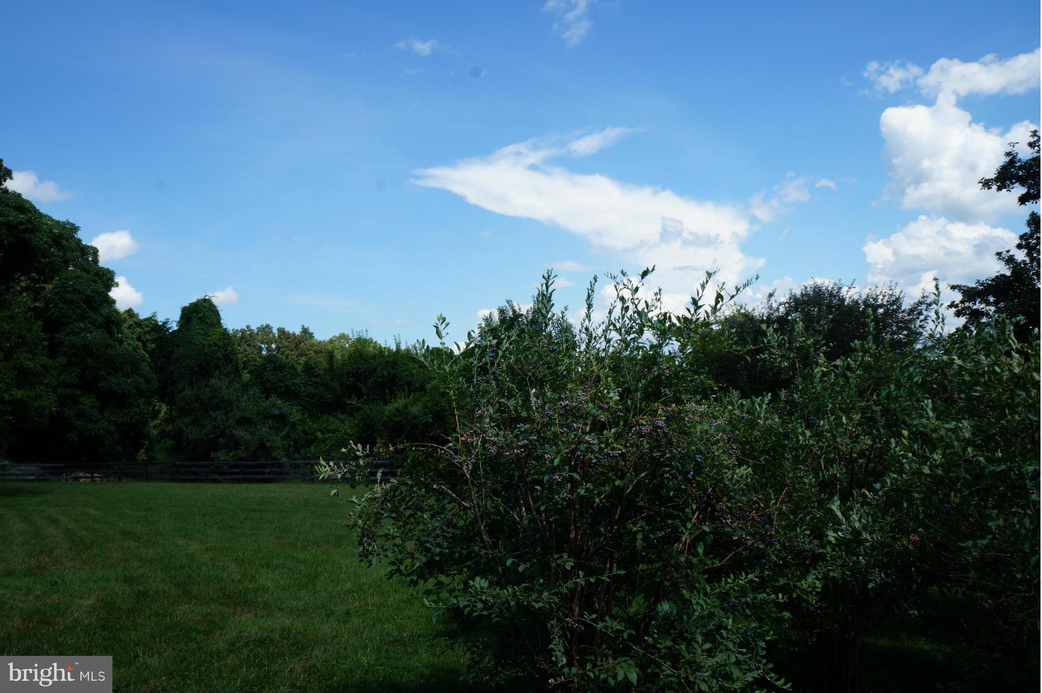 LONGVIEW - Residential