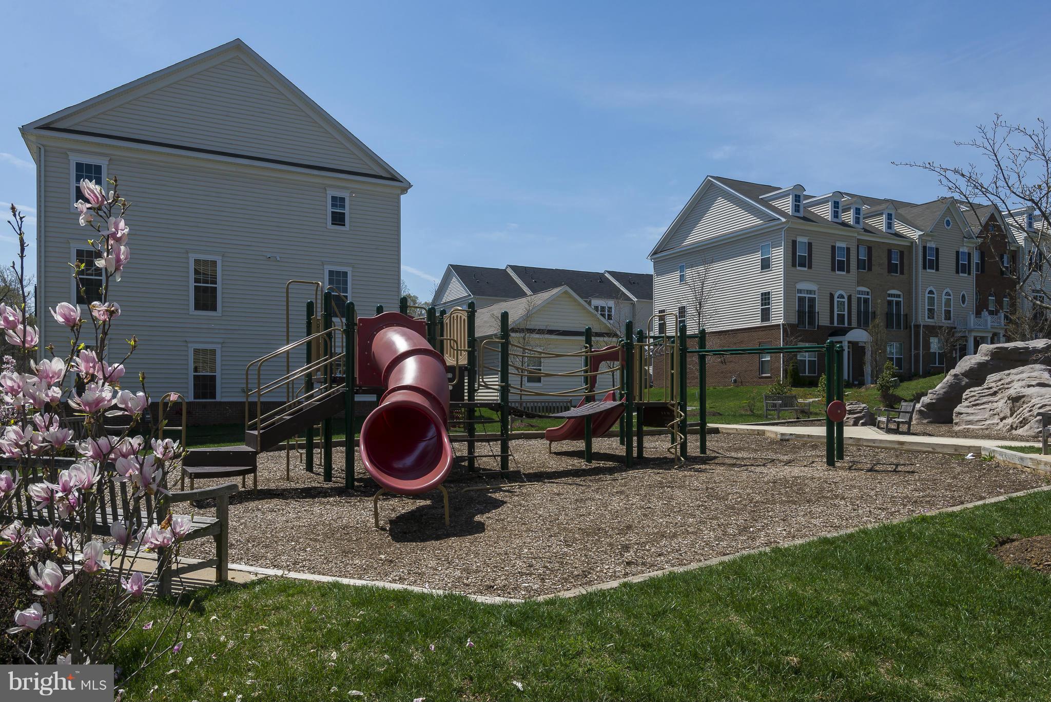 SUMMERFIELD AT MORGAN ST - Residential