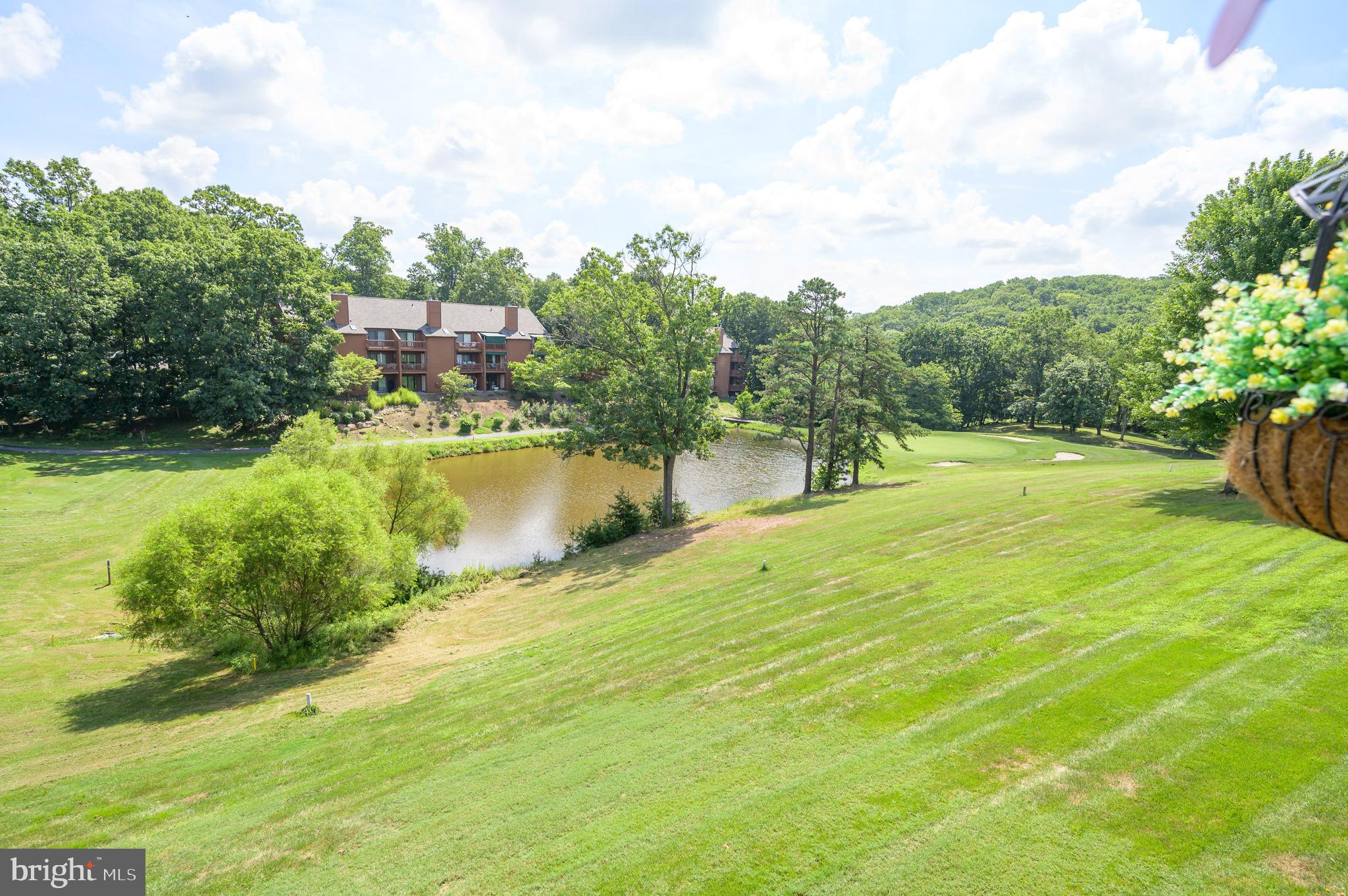 THE WOODS - Residential