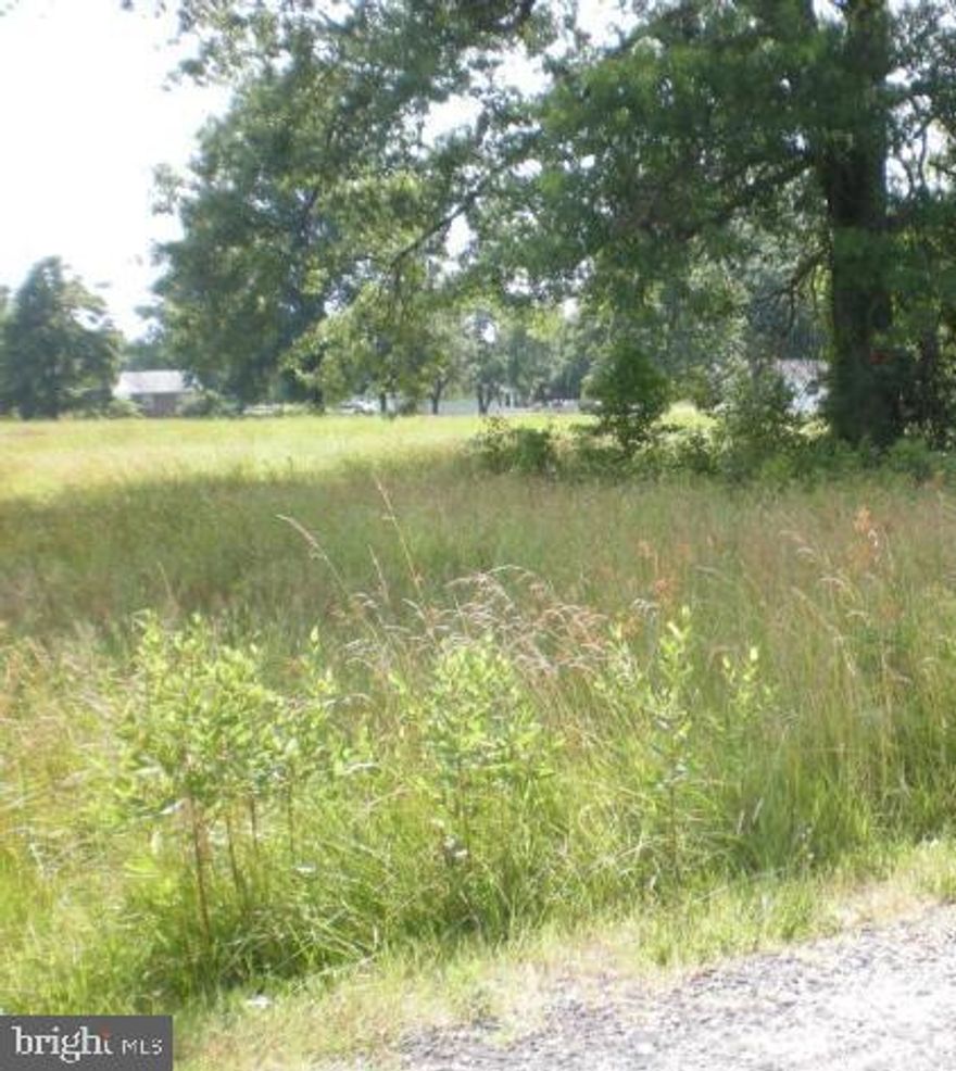 This great lot is ready for your dream home. In this water-oriented community, you will find all of the amenities you have yearned for. Enjoy your morning walk while taking in the sweet aroma of the Chesapeake Water shed. The opportunities with this lot are endless. Bring your ideas and allow this lot to make it a reality.
