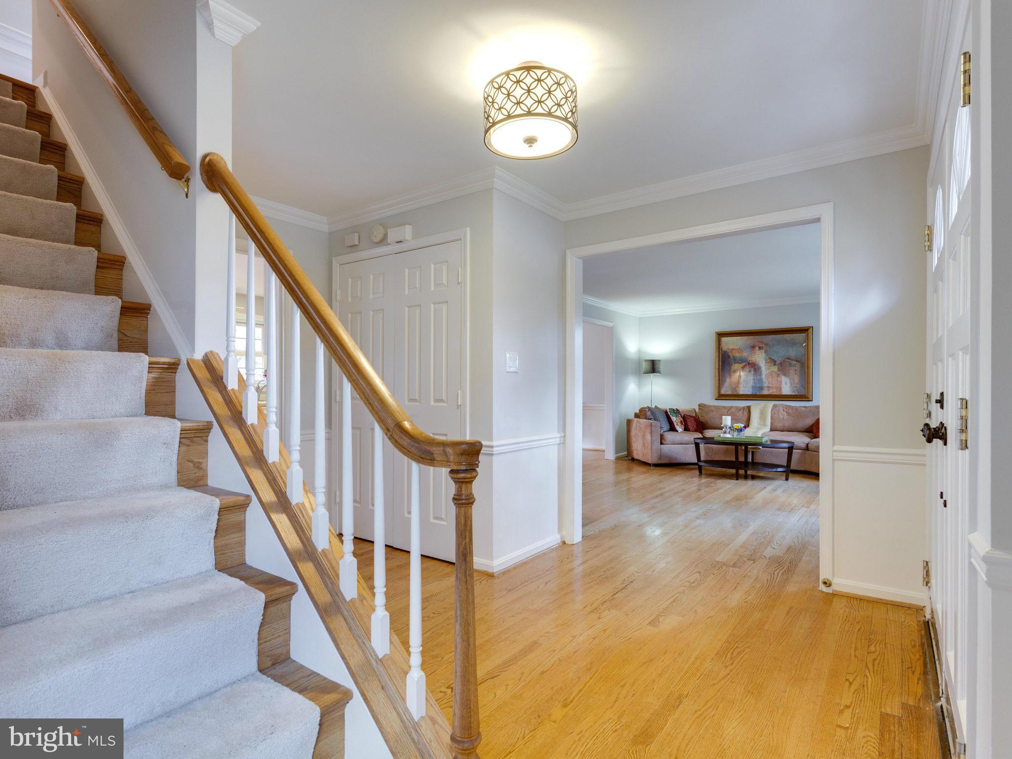 WOLF TRAP WOODS - Residential