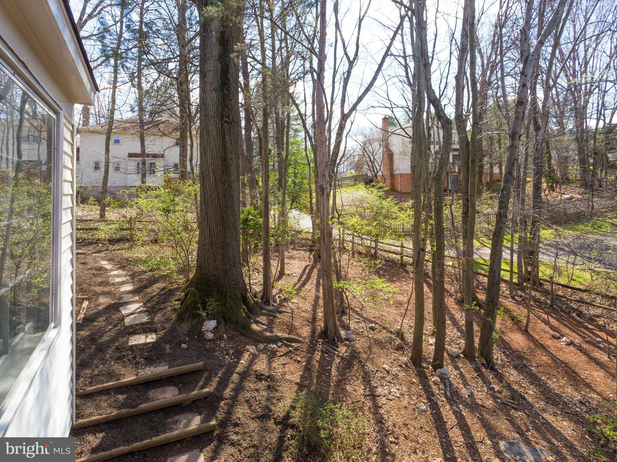 WOLF TRAP WOODS - Residential
