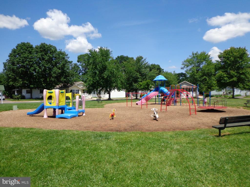 MEADOWS OF CHANTILLY - Residential