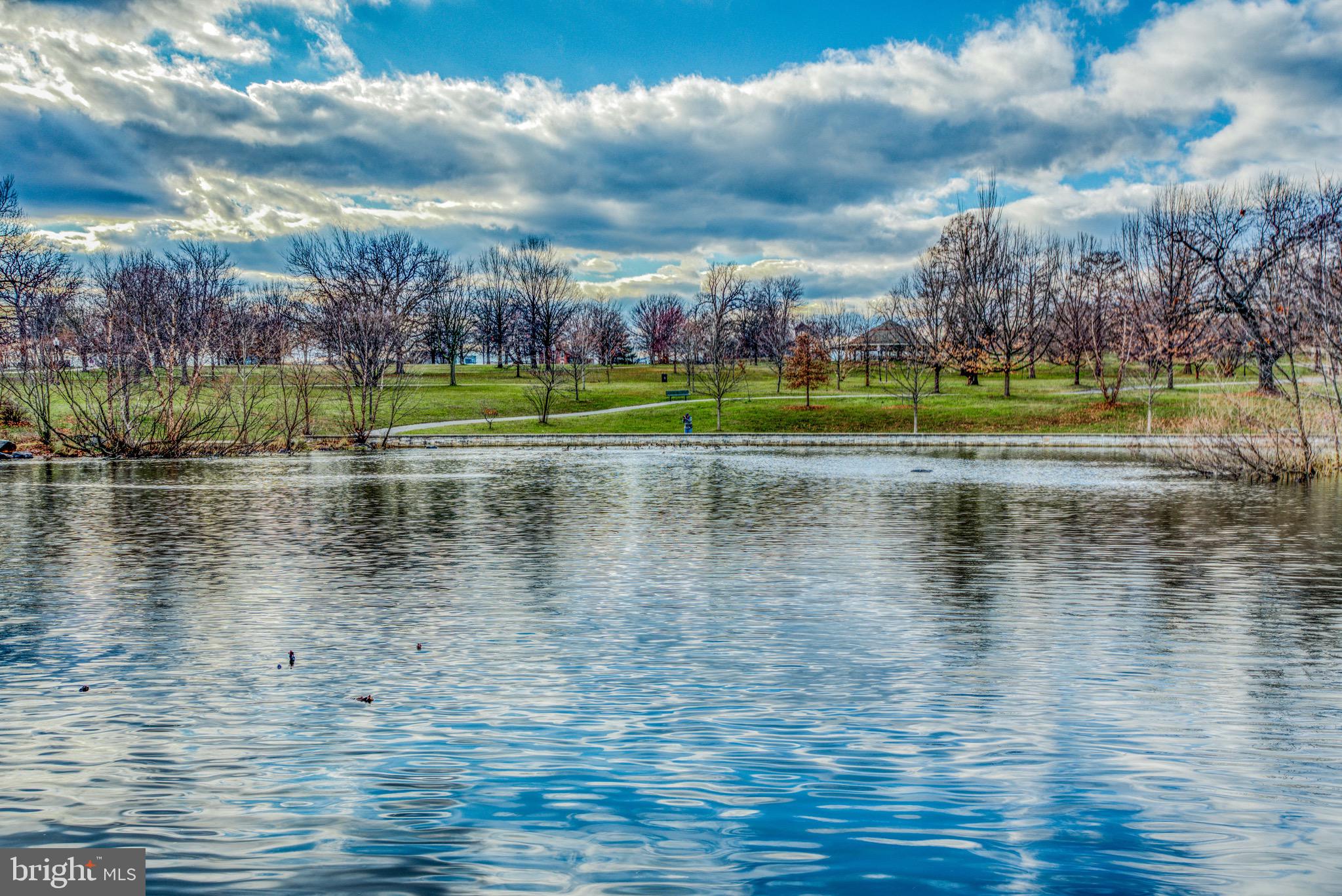 PATTERSON PARK - Residential